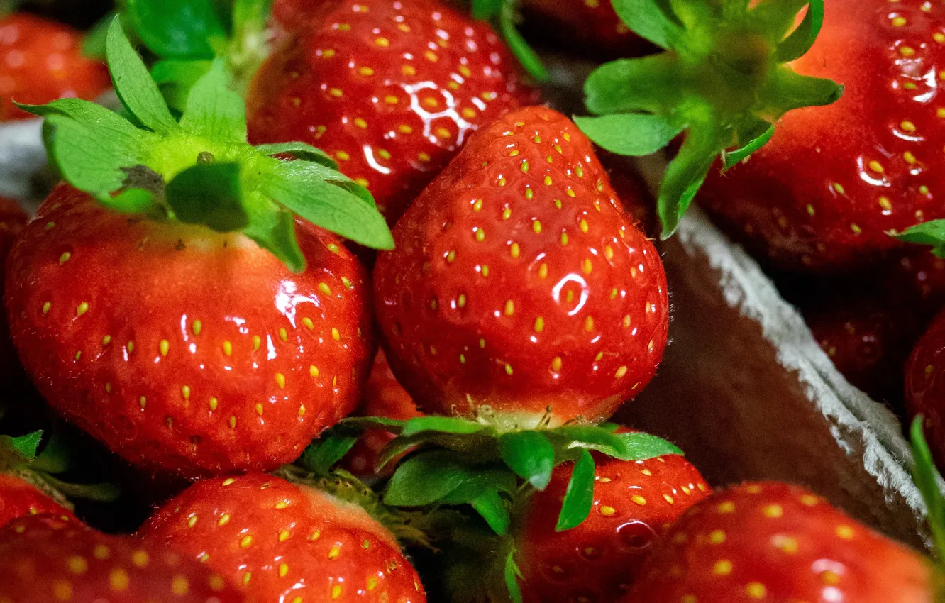 Photo wallpaper macro, berries, harvest, strawberry, tray, a lot