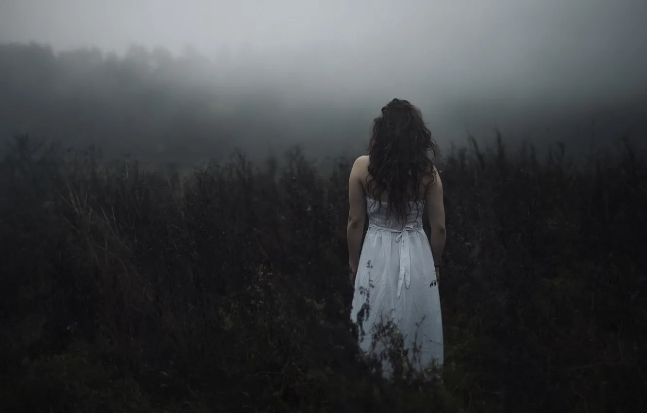 Photo wallpaper field, forest, girl, branches, fog, mood, thickets, white