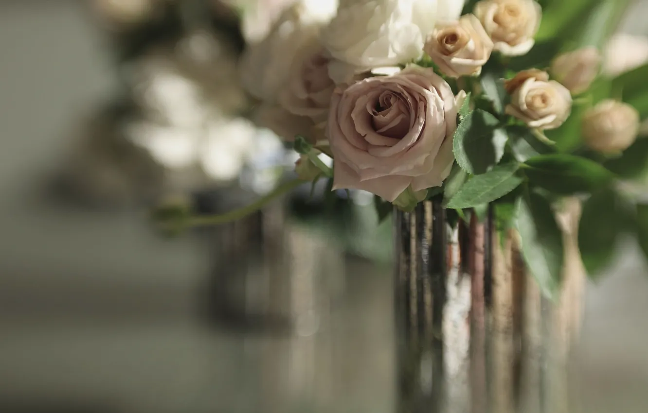 Photo wallpaper roses, bouquet, bokeh