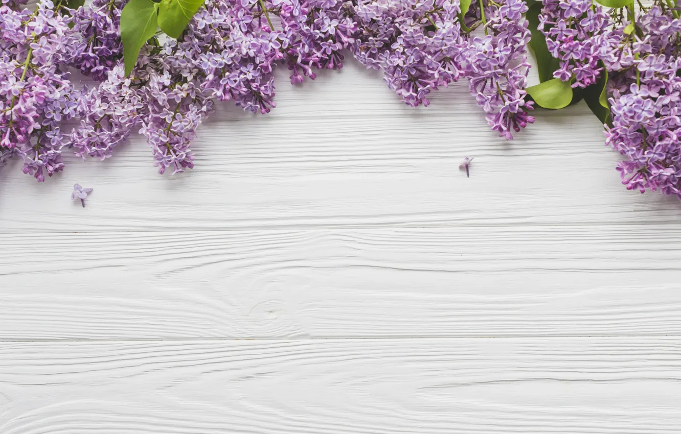 Photo wallpaper Flowers, Branches, Lilac