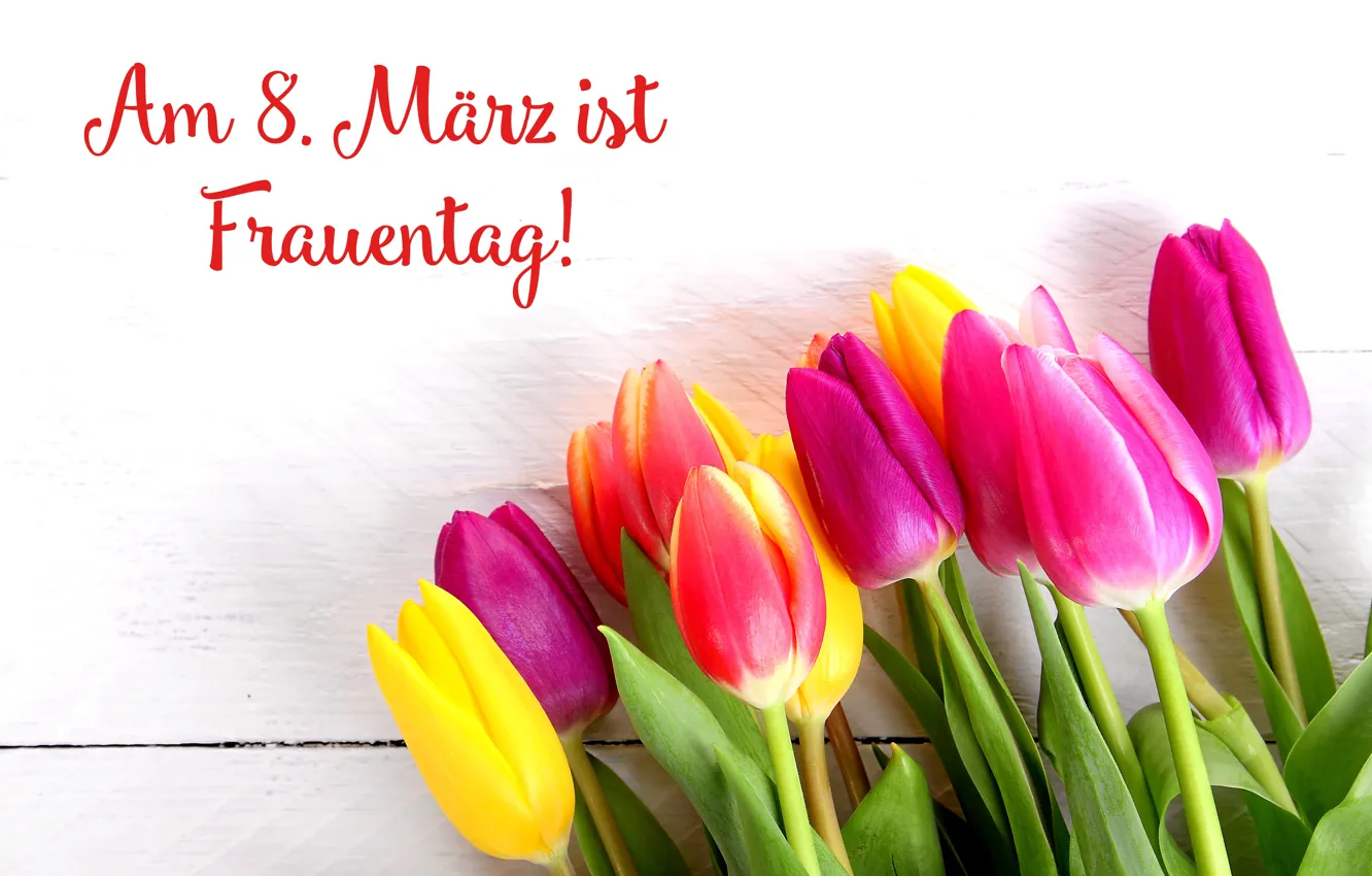 Photo wallpaper flowers, holiday, bouquet, tulips, March 8, women's day