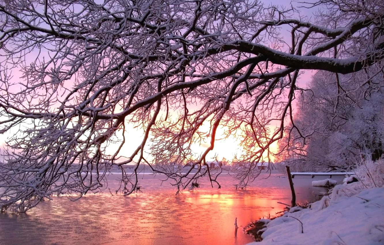 Photo wallpaper winter, snow, sunset, river, tree