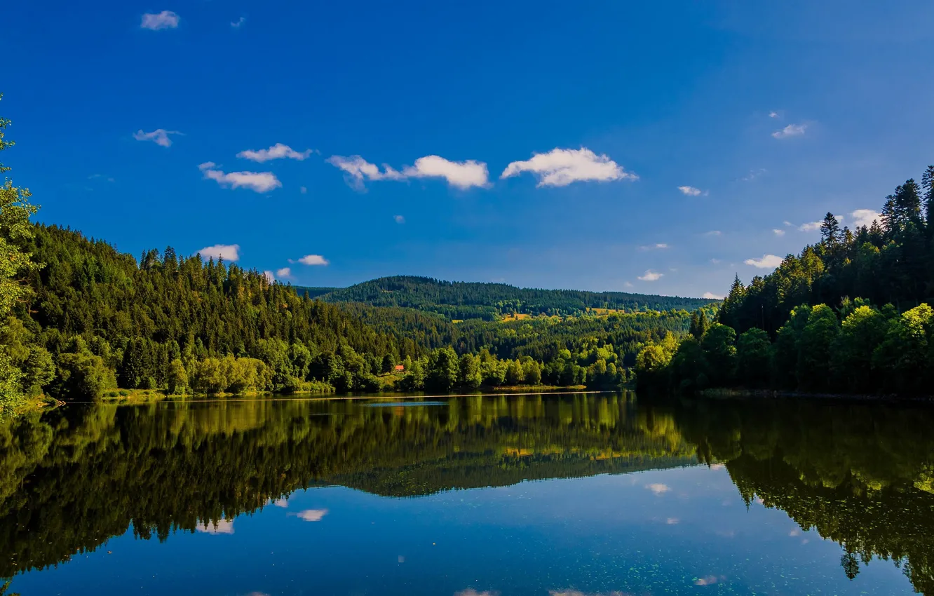 Photo wallpaper forest, lake, reflection, Germany, Germany, Baden-Württemberg, Baden-Württemberg, lake Elstow