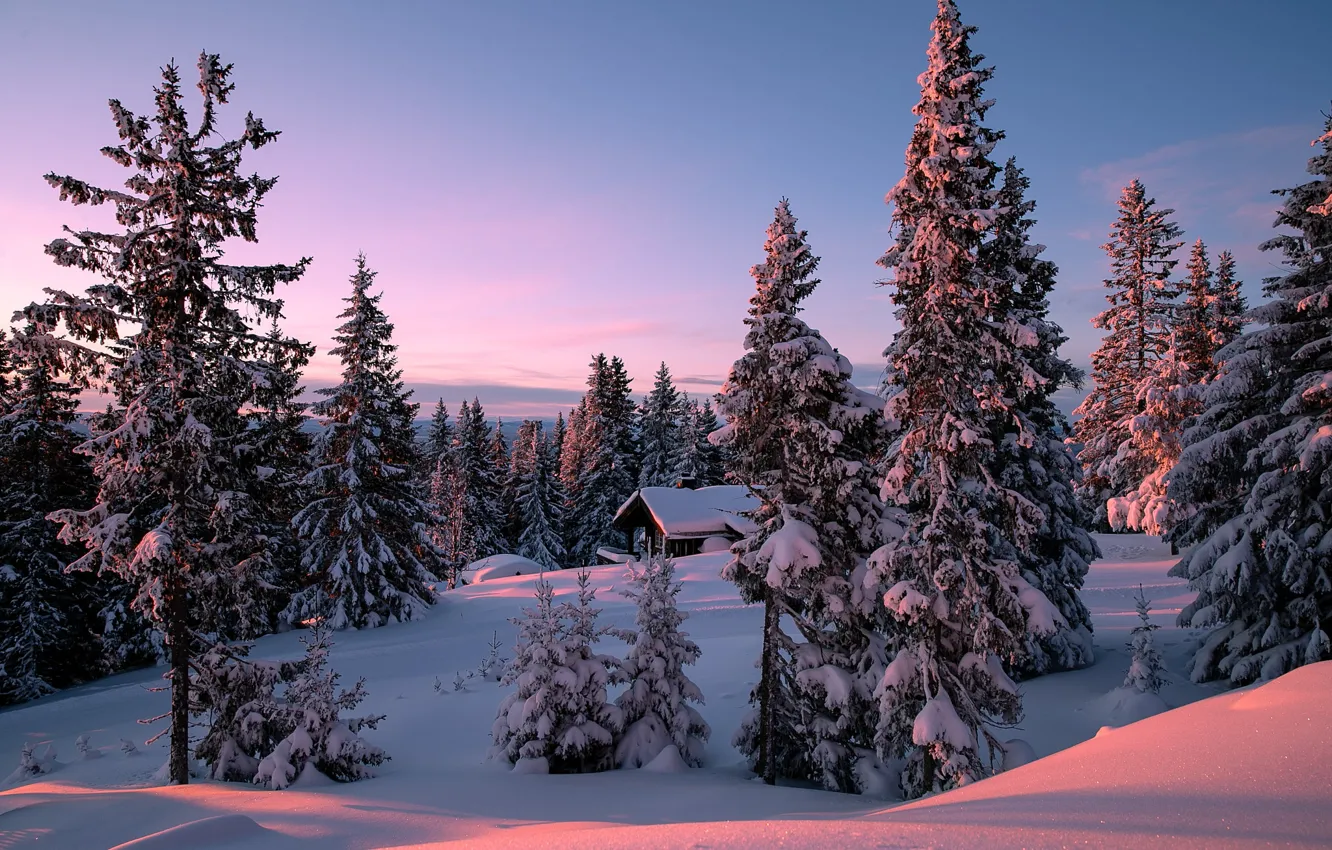 Photo wallpaper winter, forest, the sun, hills, Allan Pedersen