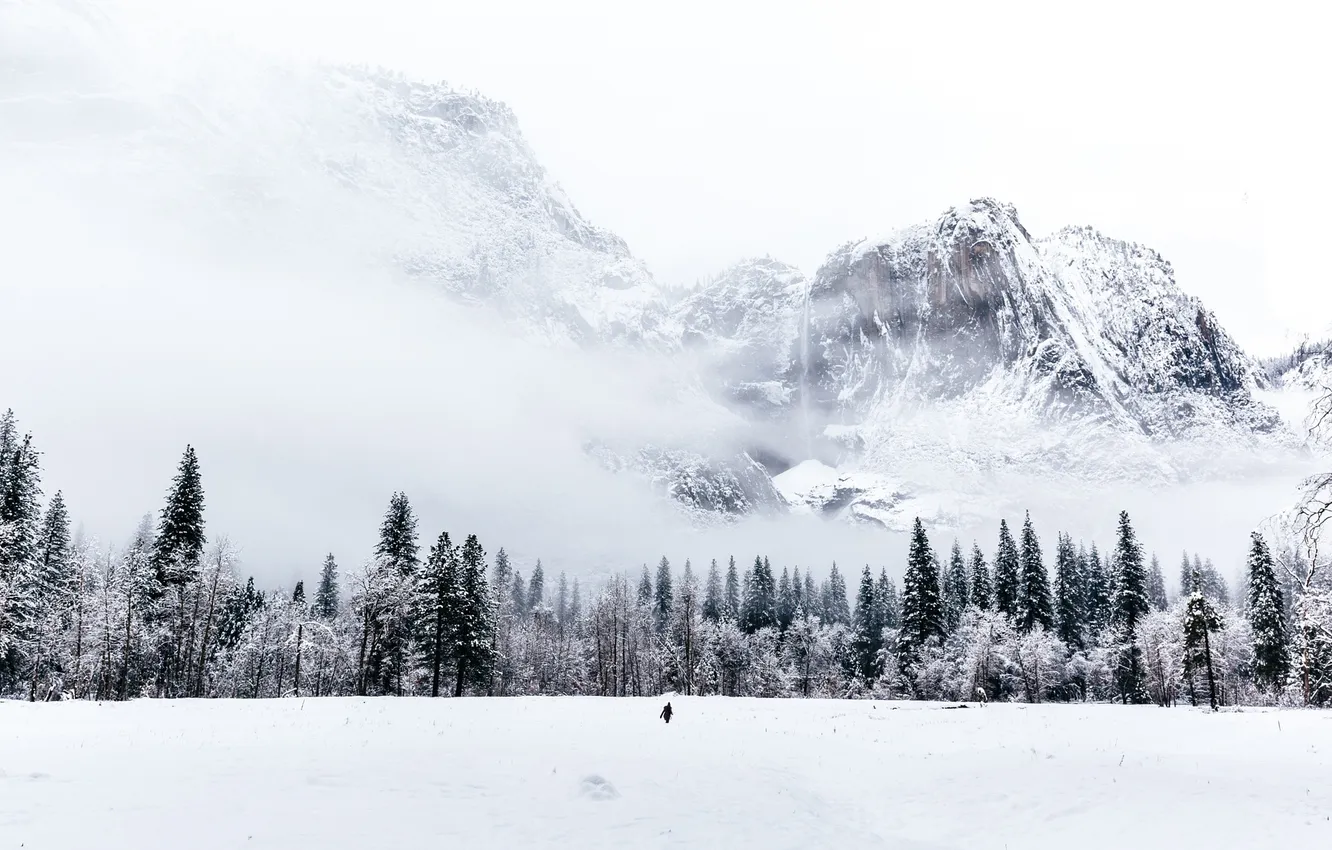 Photo wallpaper winter, forest, snow, trees, mountains, people, Blizzard