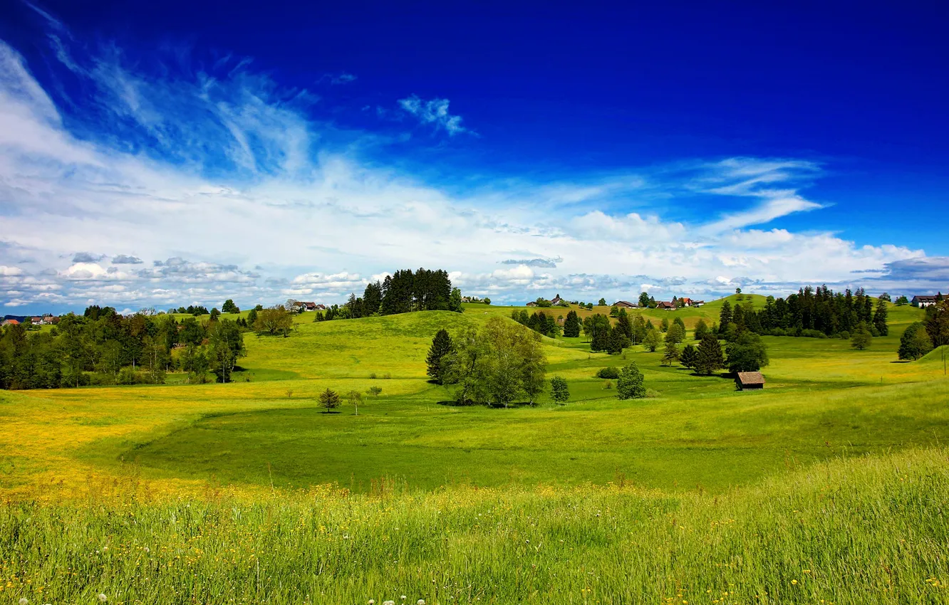 Photo wallpaper field, the sky, trees, hills, home