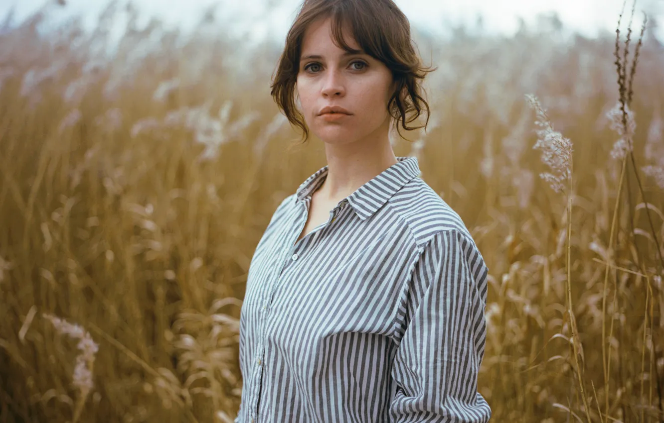 Photo wallpaper field, grass, nature, actress, hairstyle, shirt, brown hair, photoshoot