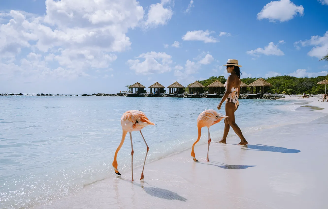 Photo wallpaper sea, beach, girl, beach, Flamingo, The Caribbean sea, Aruba, Aruba