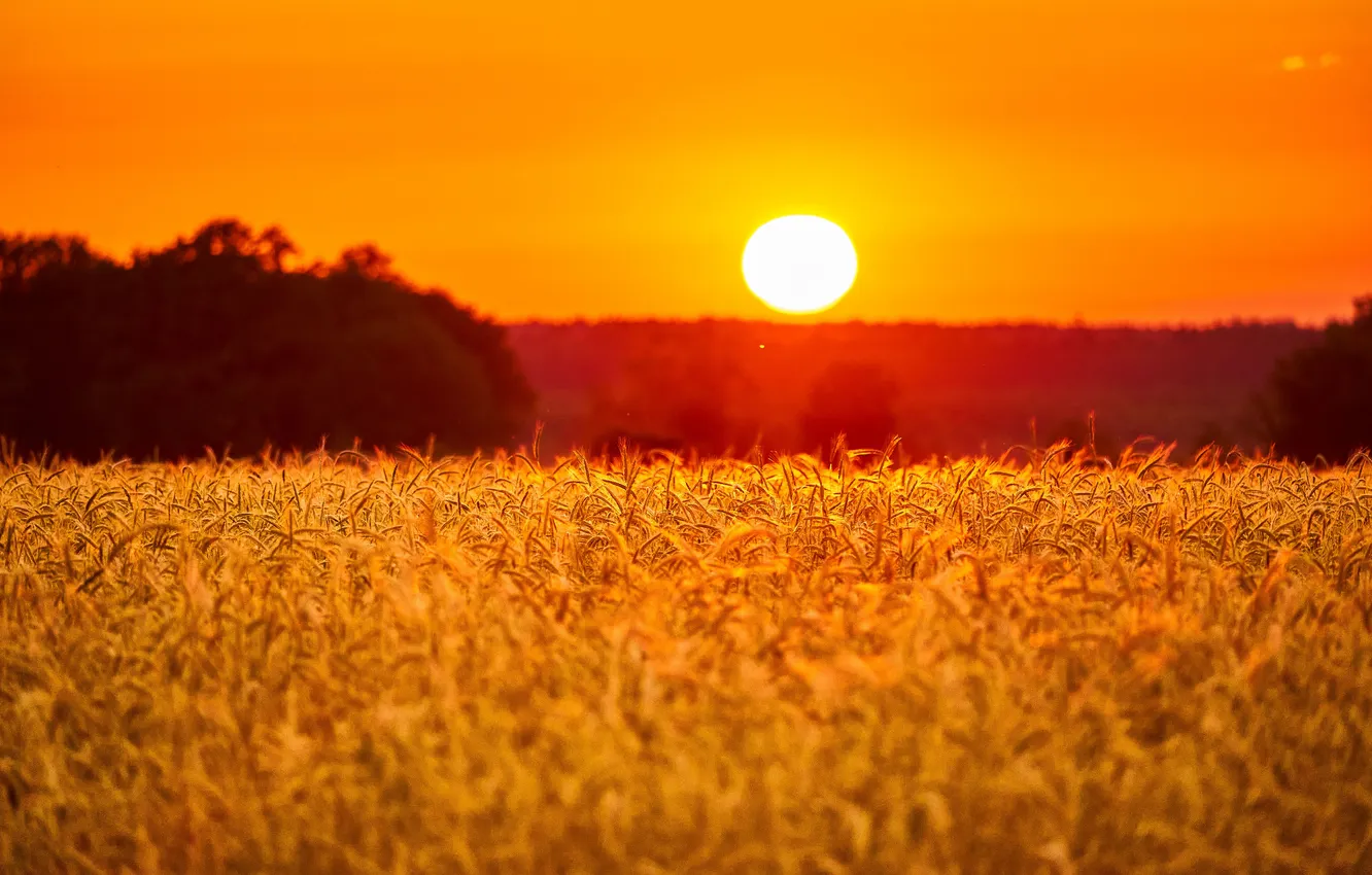 Photo wallpaper nature, sunset, landcsape, grays