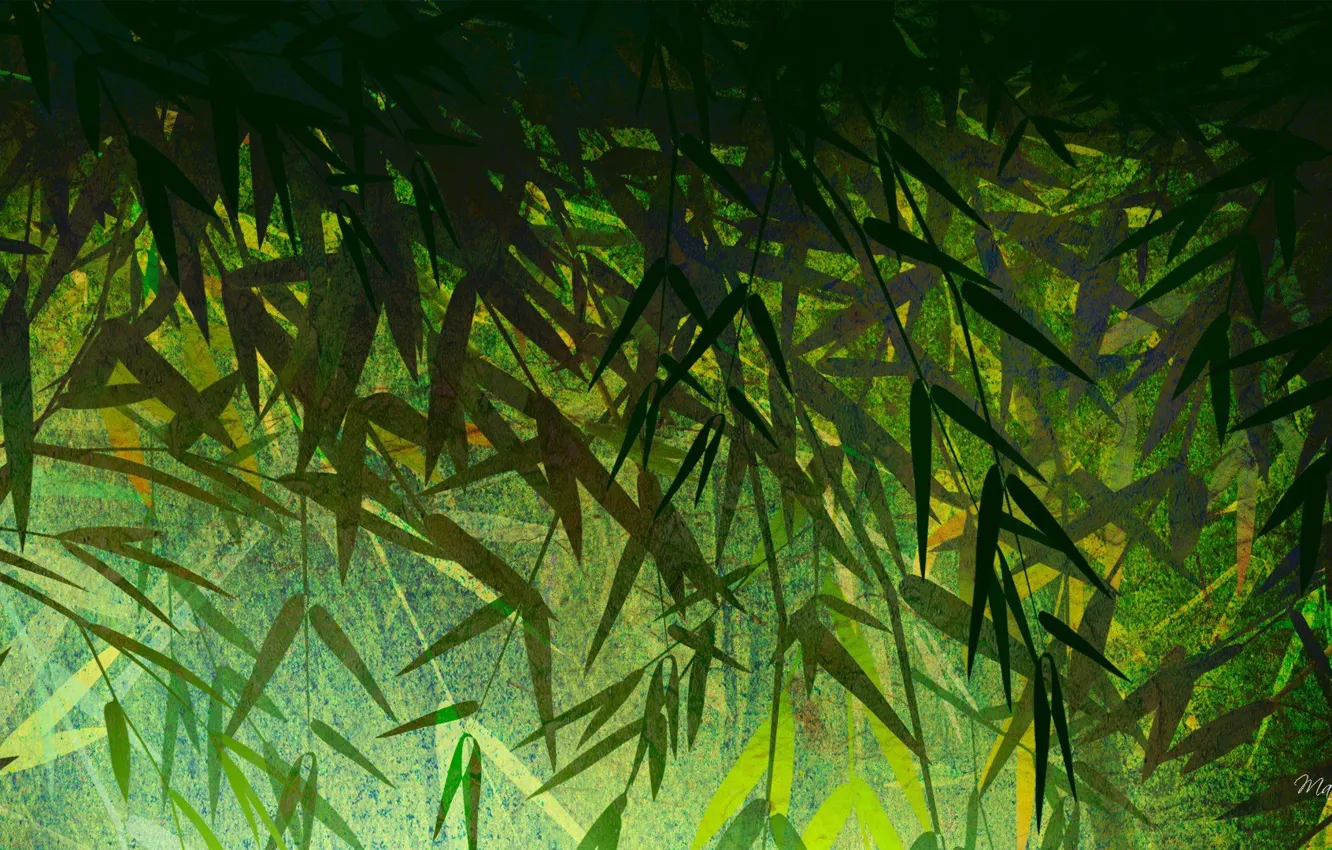 Photo wallpaper Leaves, Bamboo, Texture, Bamboo, Texture, Leaves, Green Background, Green Background