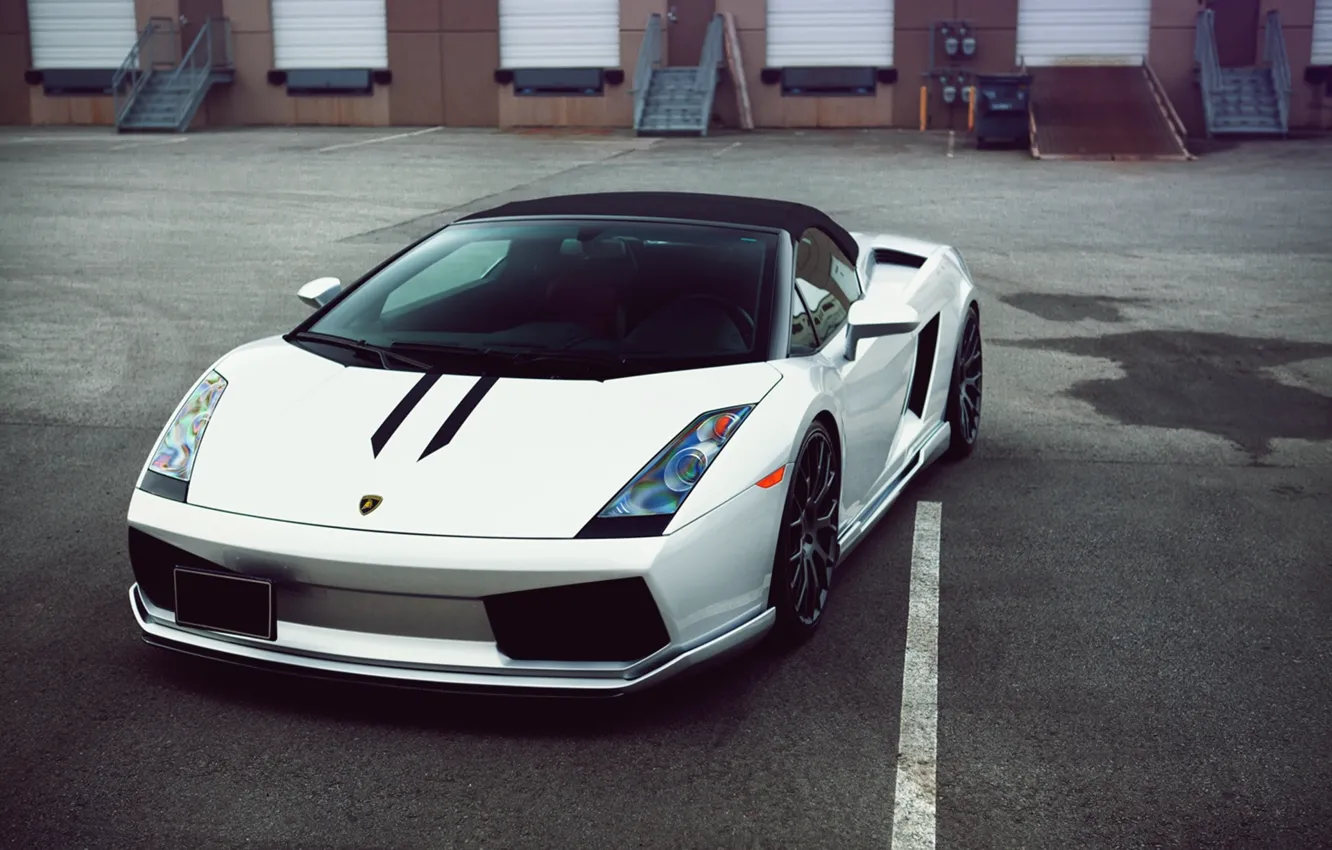 Photo wallpaper Lamborghini, white, Gallardo, Hamann, metallic, Spyder, 2007 SR Auto Group, Mastermind