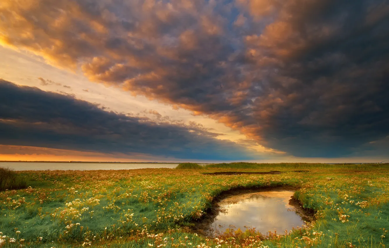 Photo wallpaper field, summer, the sky, grass, clouds, flowers, clouds, river