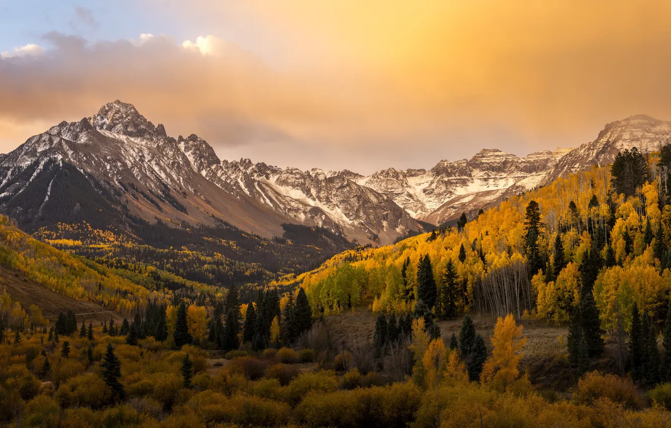 Photo wallpaper USA, forest, sky, trees, landscape, nature, mountains, clouds