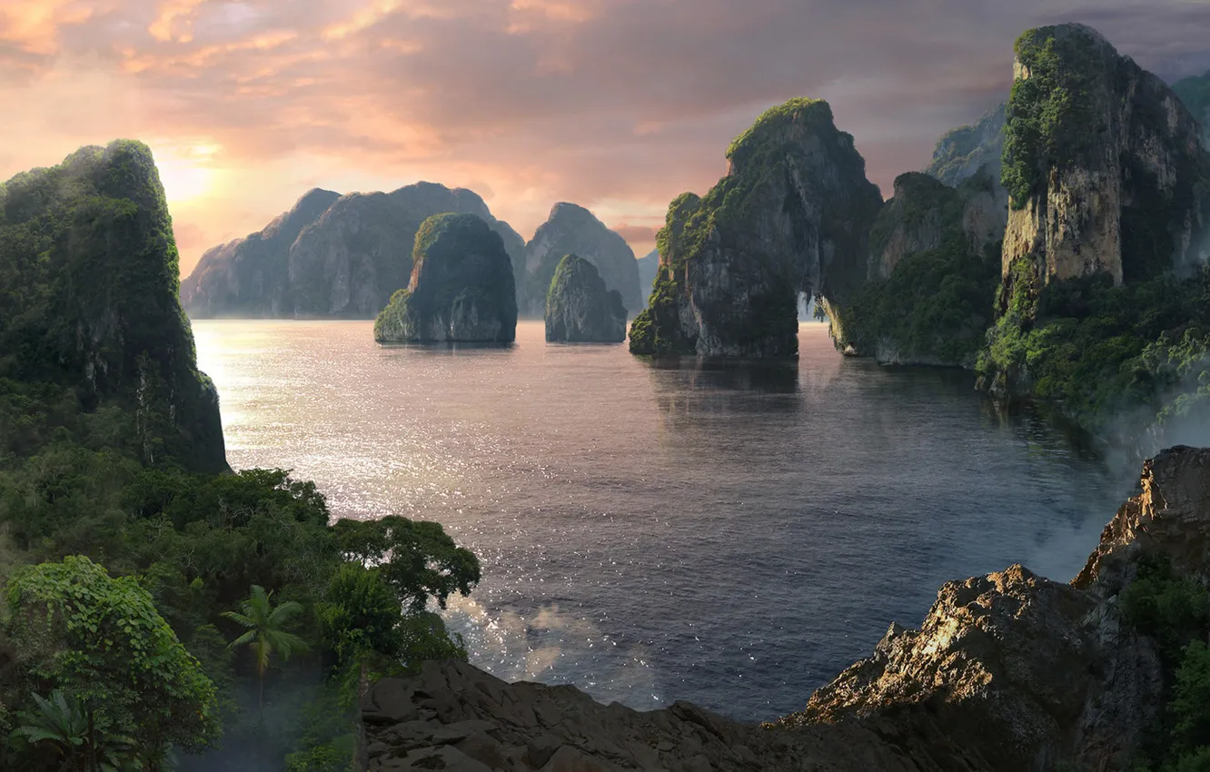 Photo wallpaper nature, jungle, jungle, Olga Antonenko