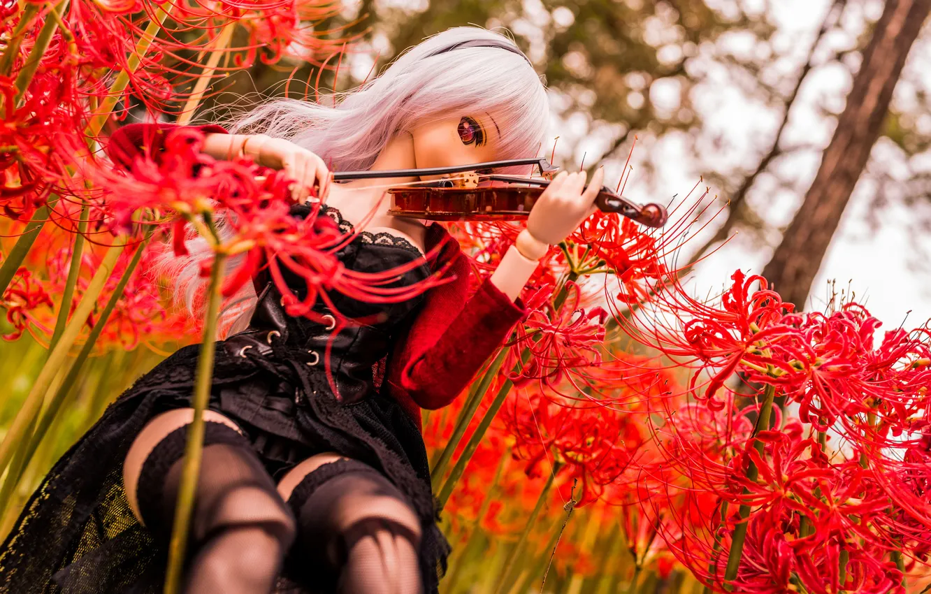 Photo wallpaper flowers, nature, violin, toy, doll, blonde