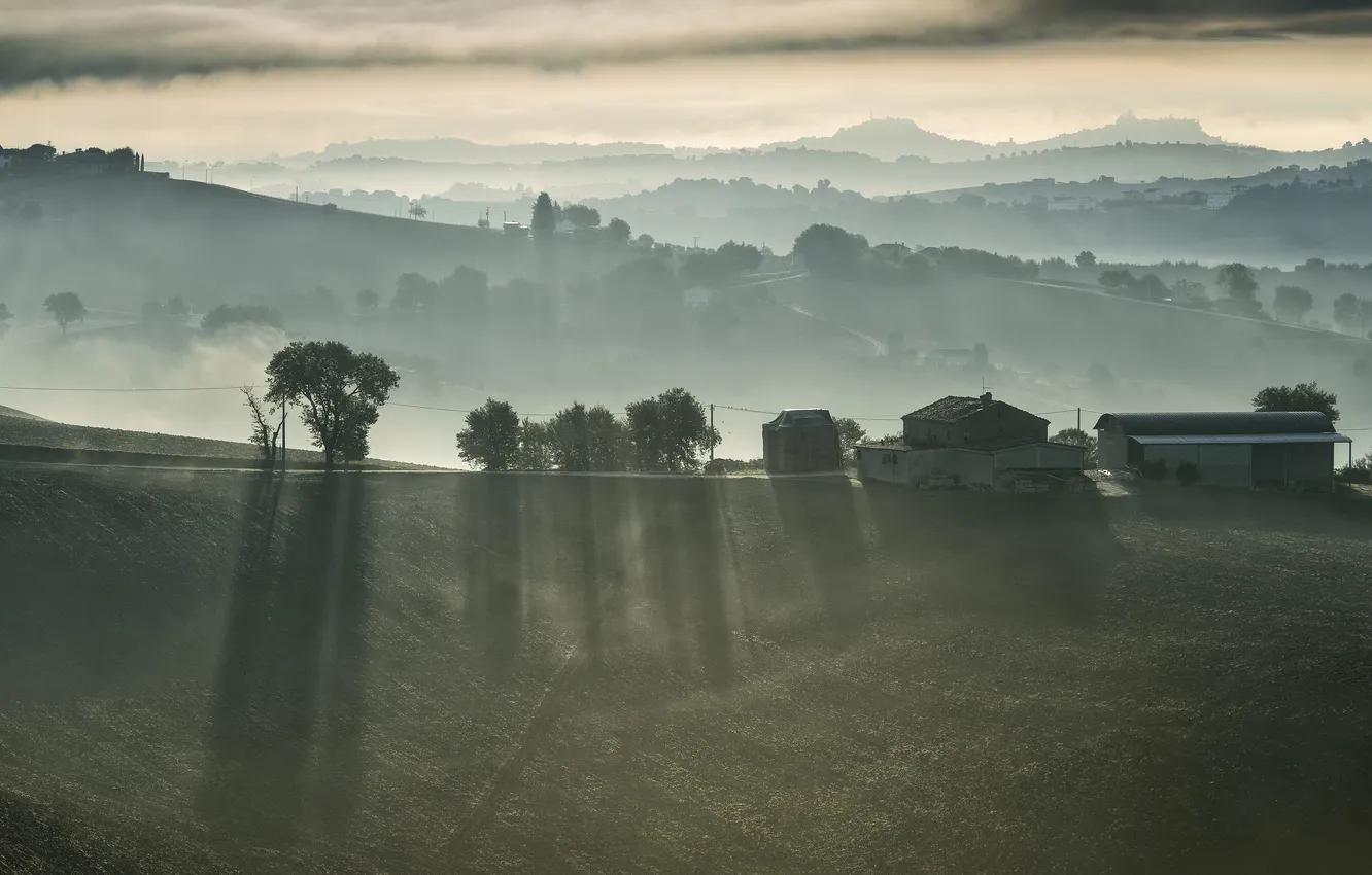 Photo wallpaper field, fog, home, morning