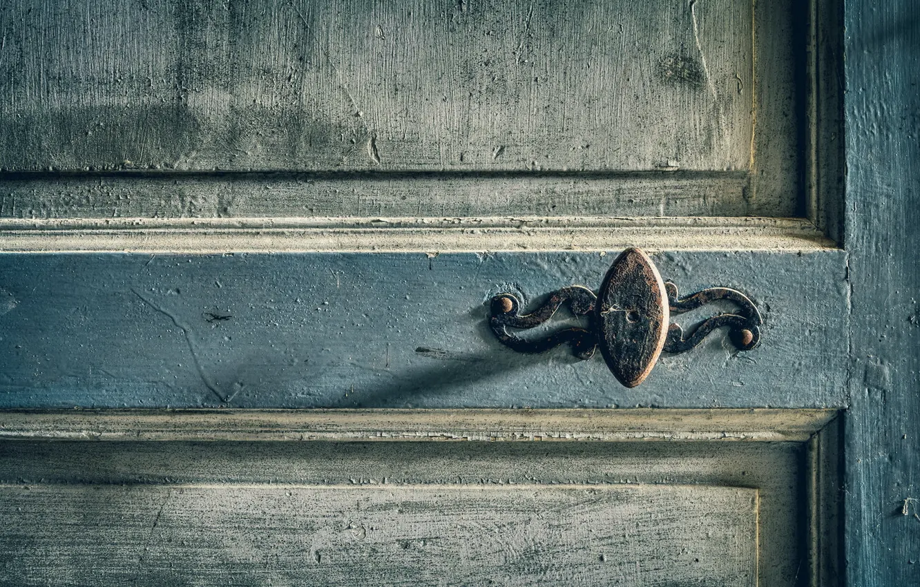 Photo wallpaper background, the door, handle