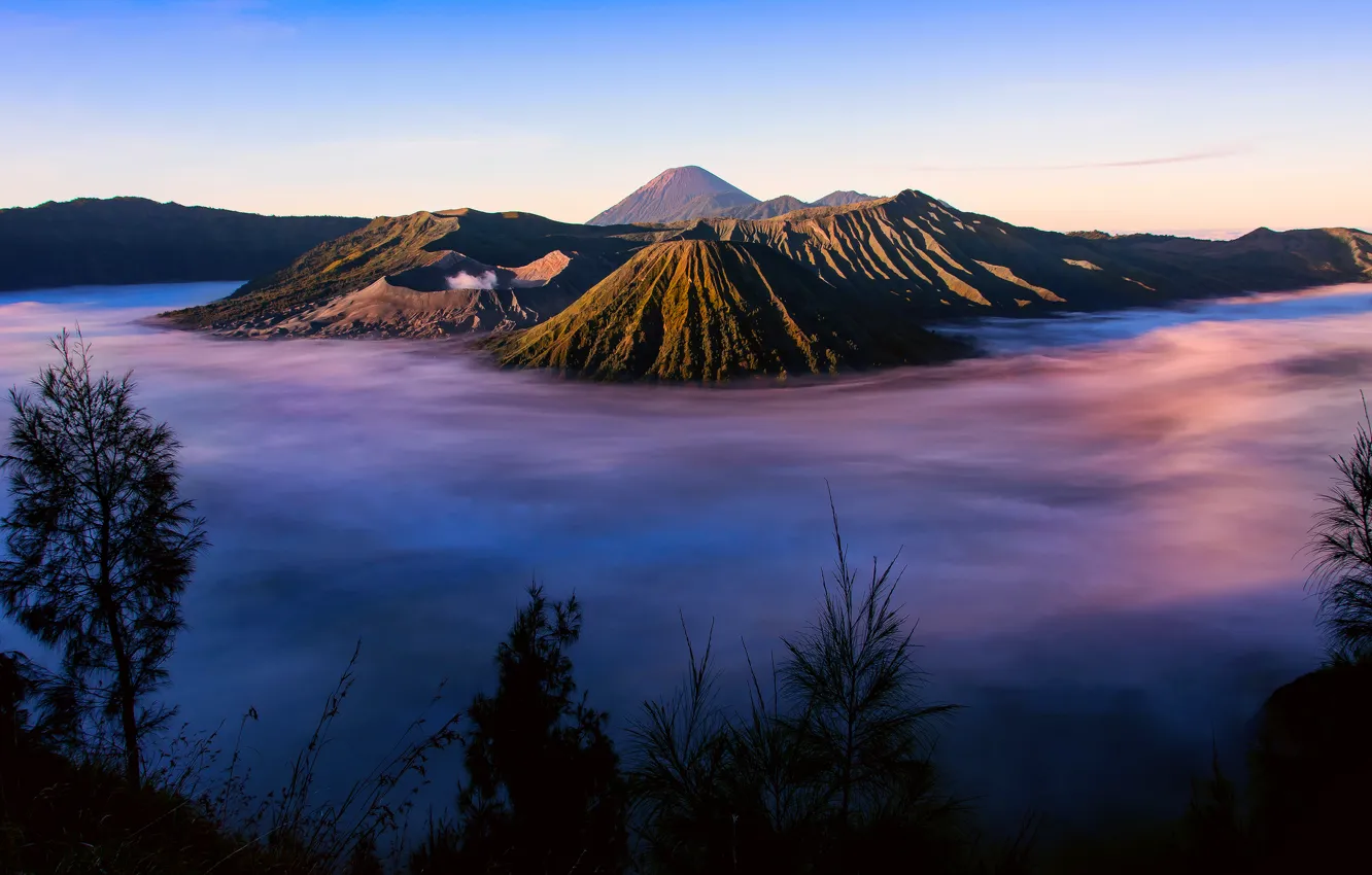 Photo wallpaper grass, fog, island, morning, Indonesia, silhouettes, Java, Tengger
