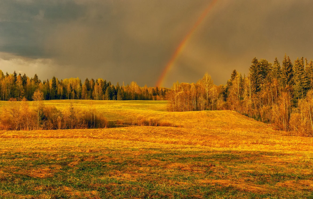 Photo wallpaper field, autumn, forest, light, rainbow