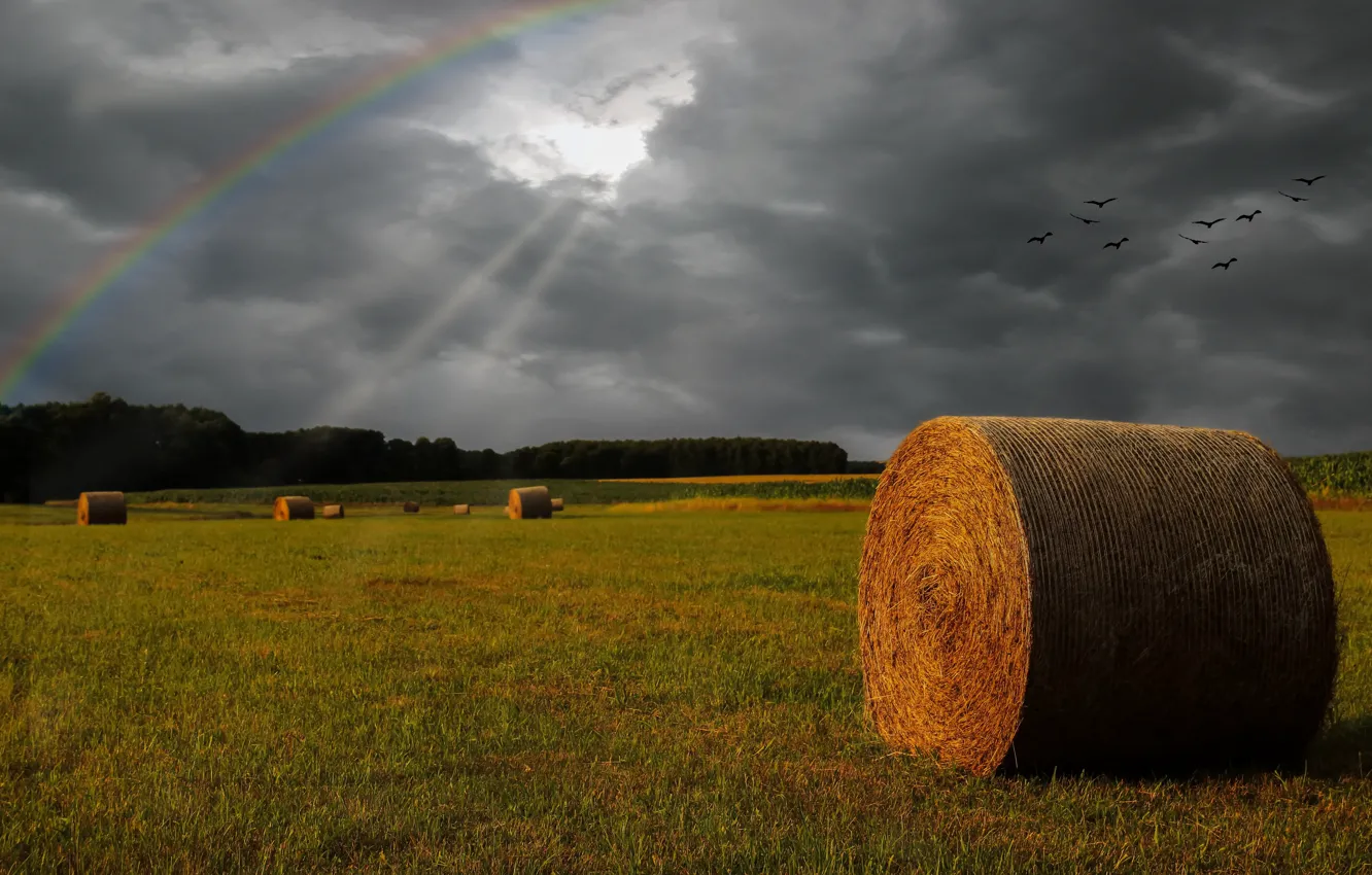 Photo wallpaper field, rainbow, hay, the rays of the sun