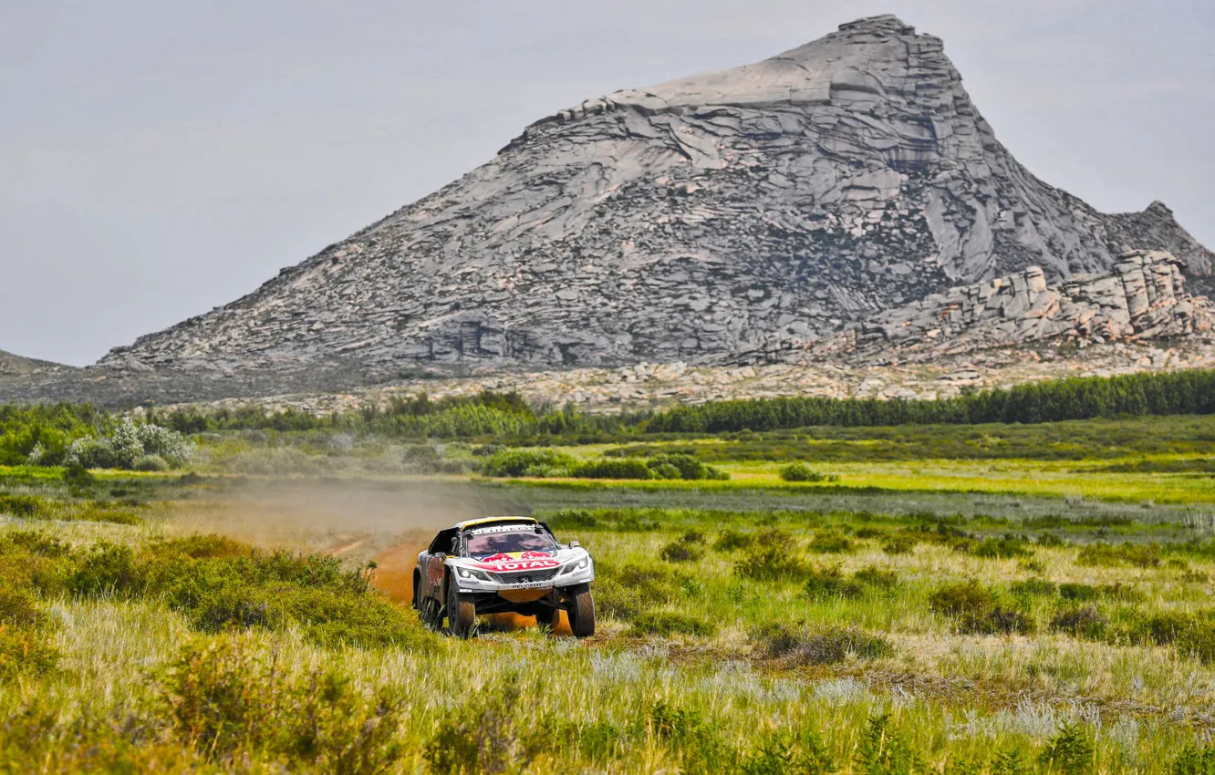 Photo wallpaper Grass, Mountain, Sport, Rock, Speed, Race, Dirt, Peugeot