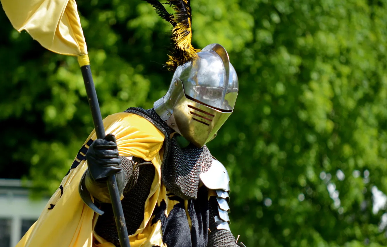 Photo wallpaper metal, armor, feathers, helmet, knight