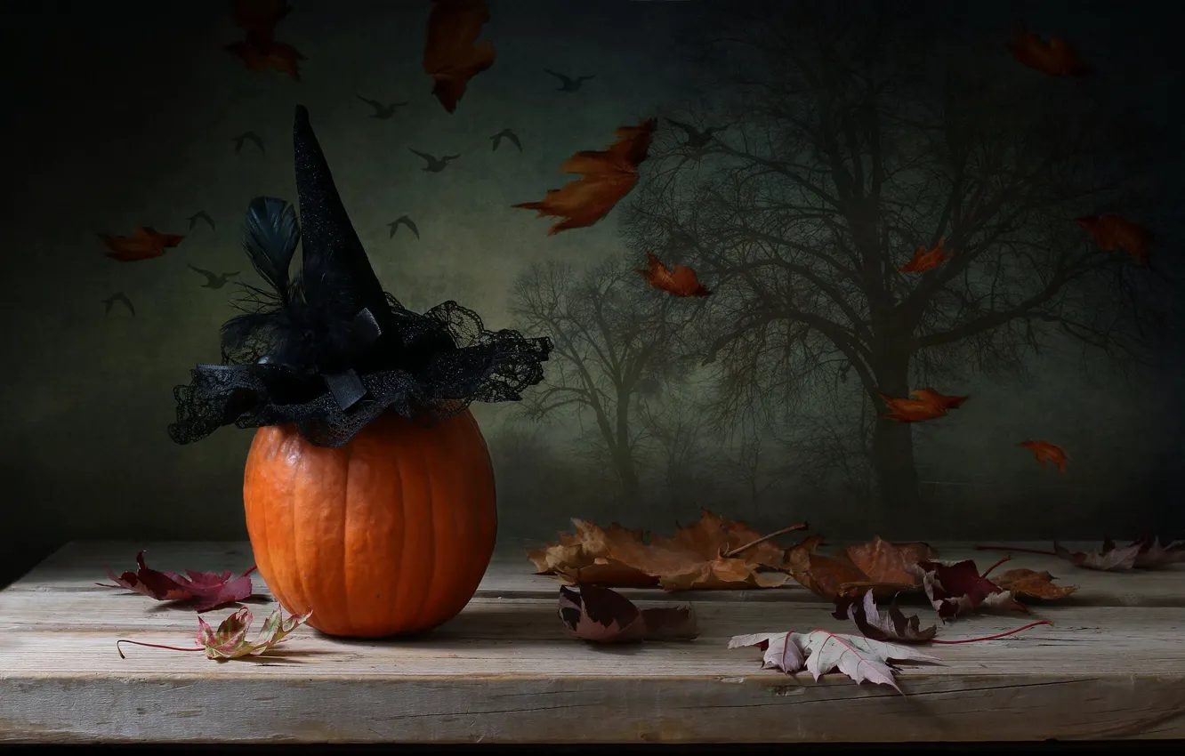 Photo wallpaper pumpkin, Halloween, Halloween, composition