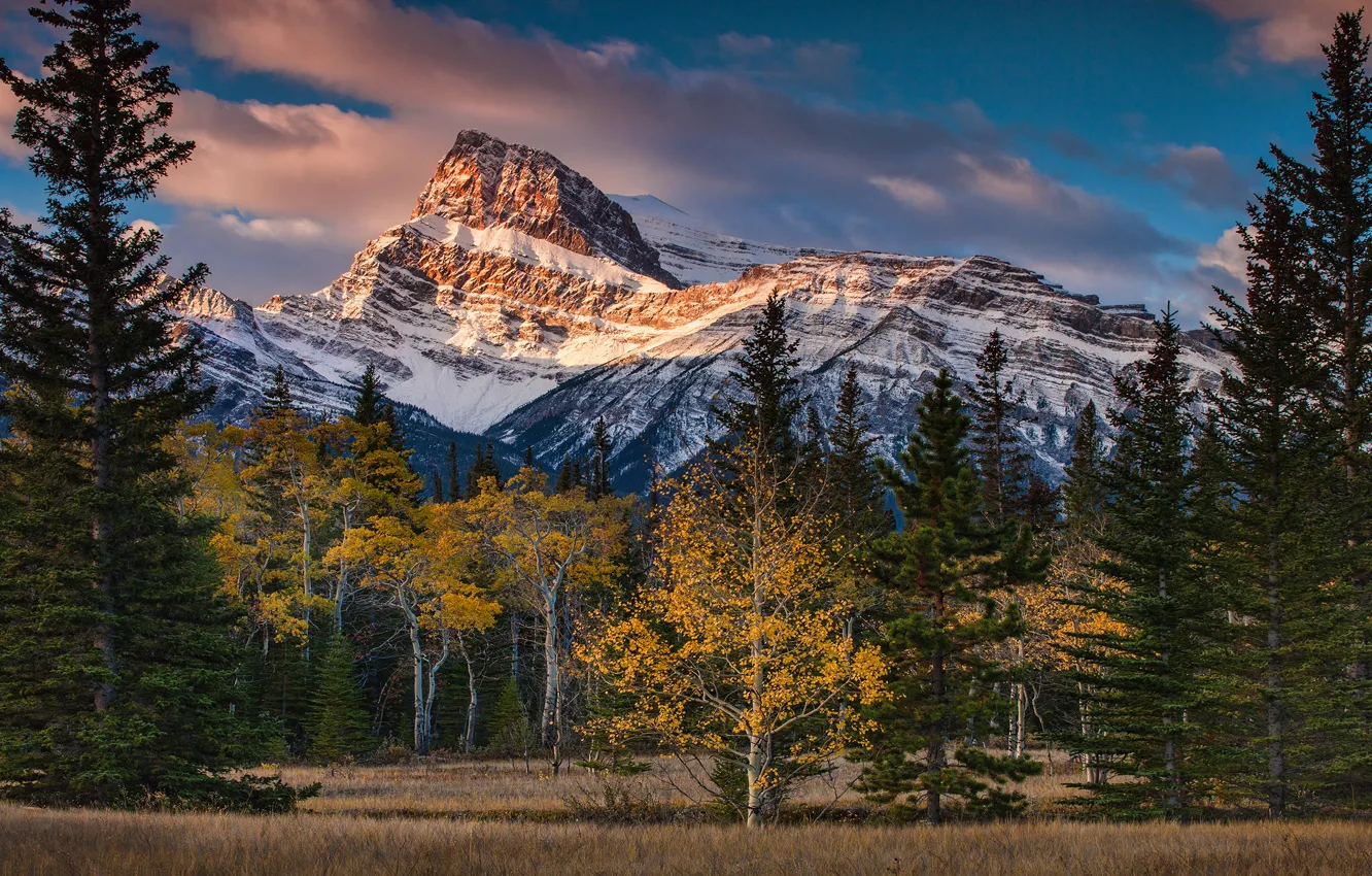 Photo wallpaper autumn, forest, the sky, clouds, snow, trees, mountains, nature