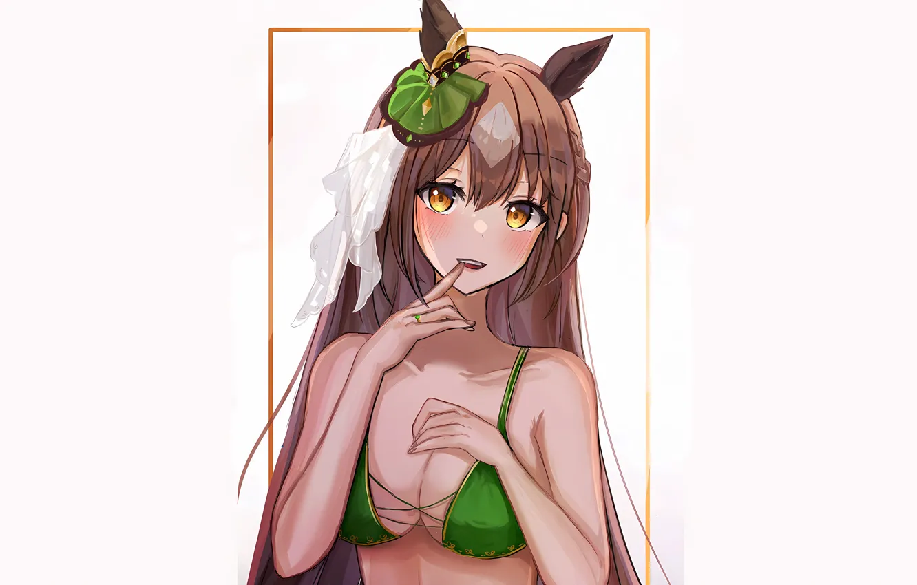 Photo wallpaper girl, sexy, cleavage, long hair, brown hair, boobs, animal ears, anime