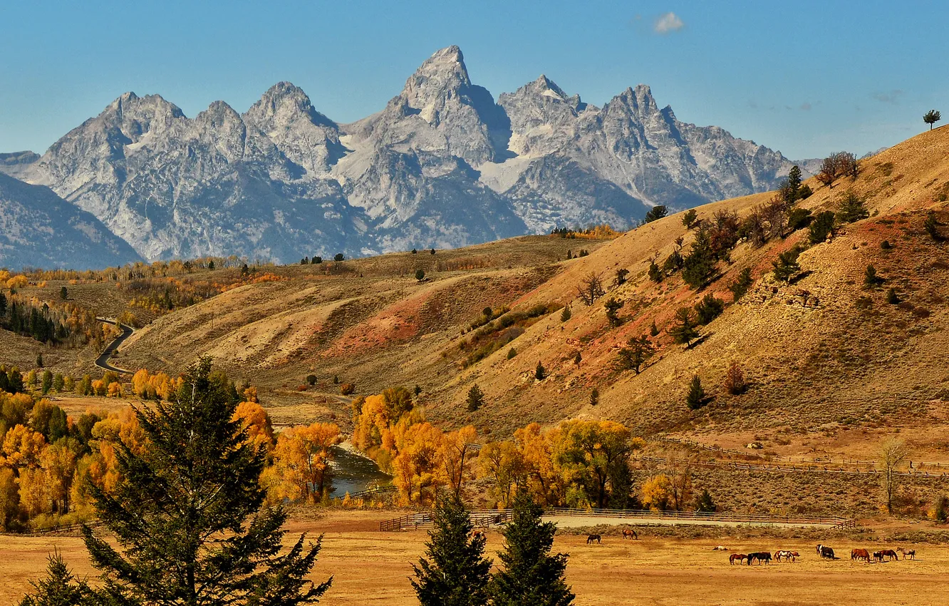 Photo wallpaper road, autumn, the sky, mountains, lake, horse, valley
