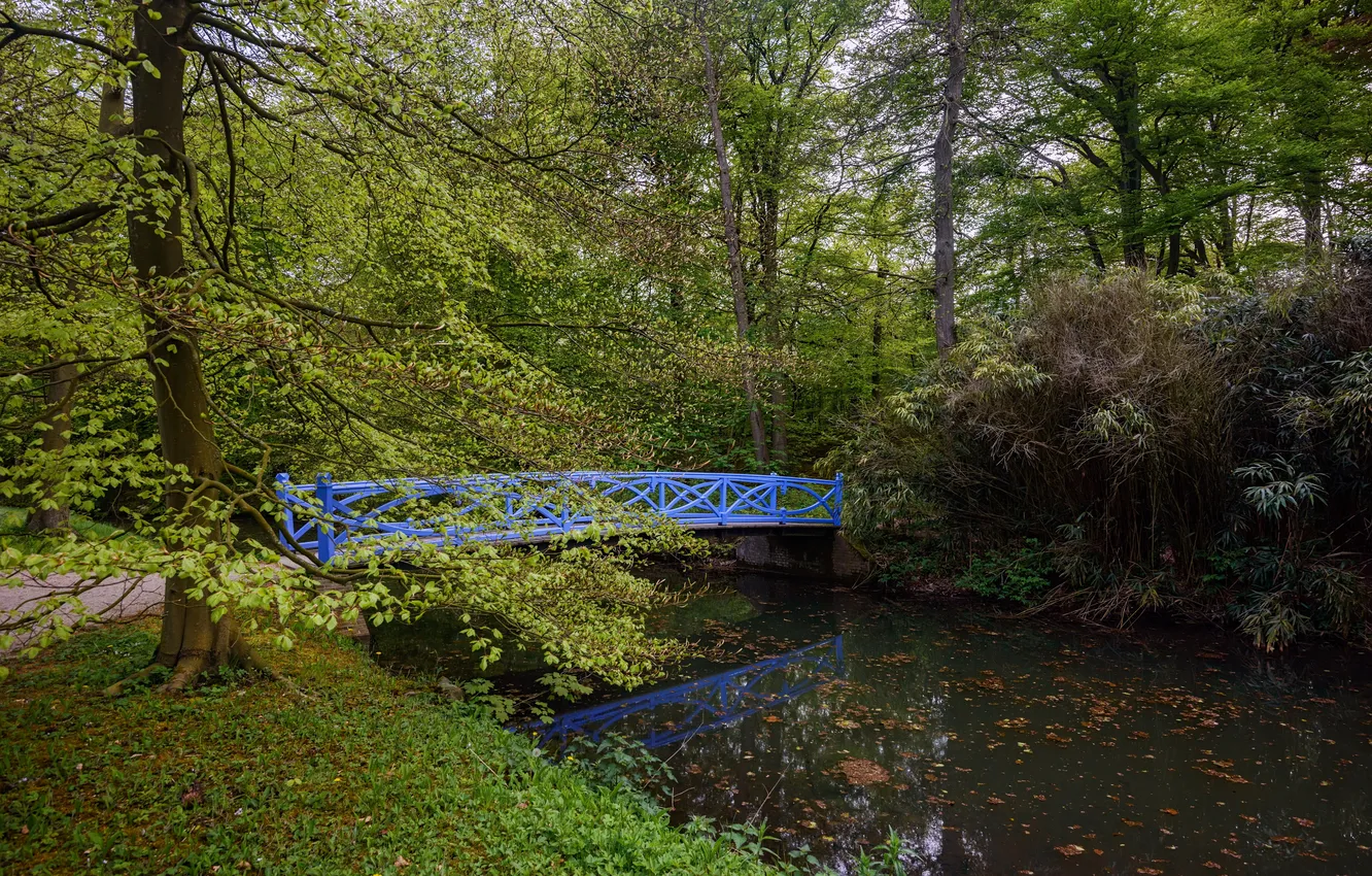 Photo wallpaper trees, bridge, pond, Park, Netherlands, path, Elswout
