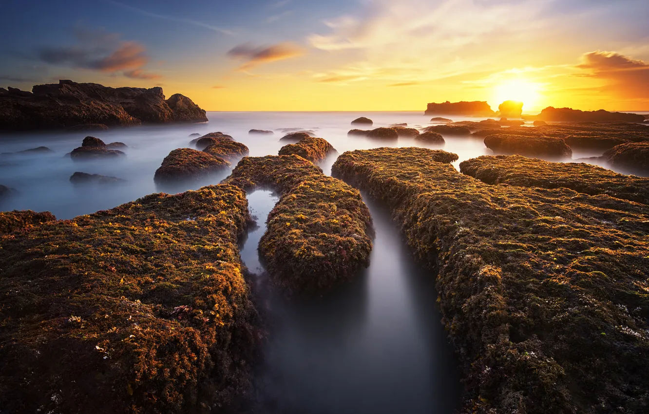Photo wallpaper sea, the sun, rocks, the evening, sunshine, sea, rocks, evening