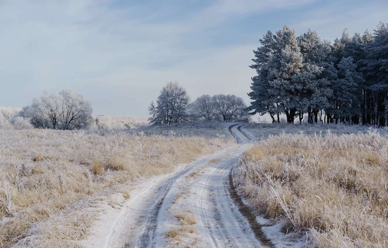 Photo wallpaper winter, frost, road, field