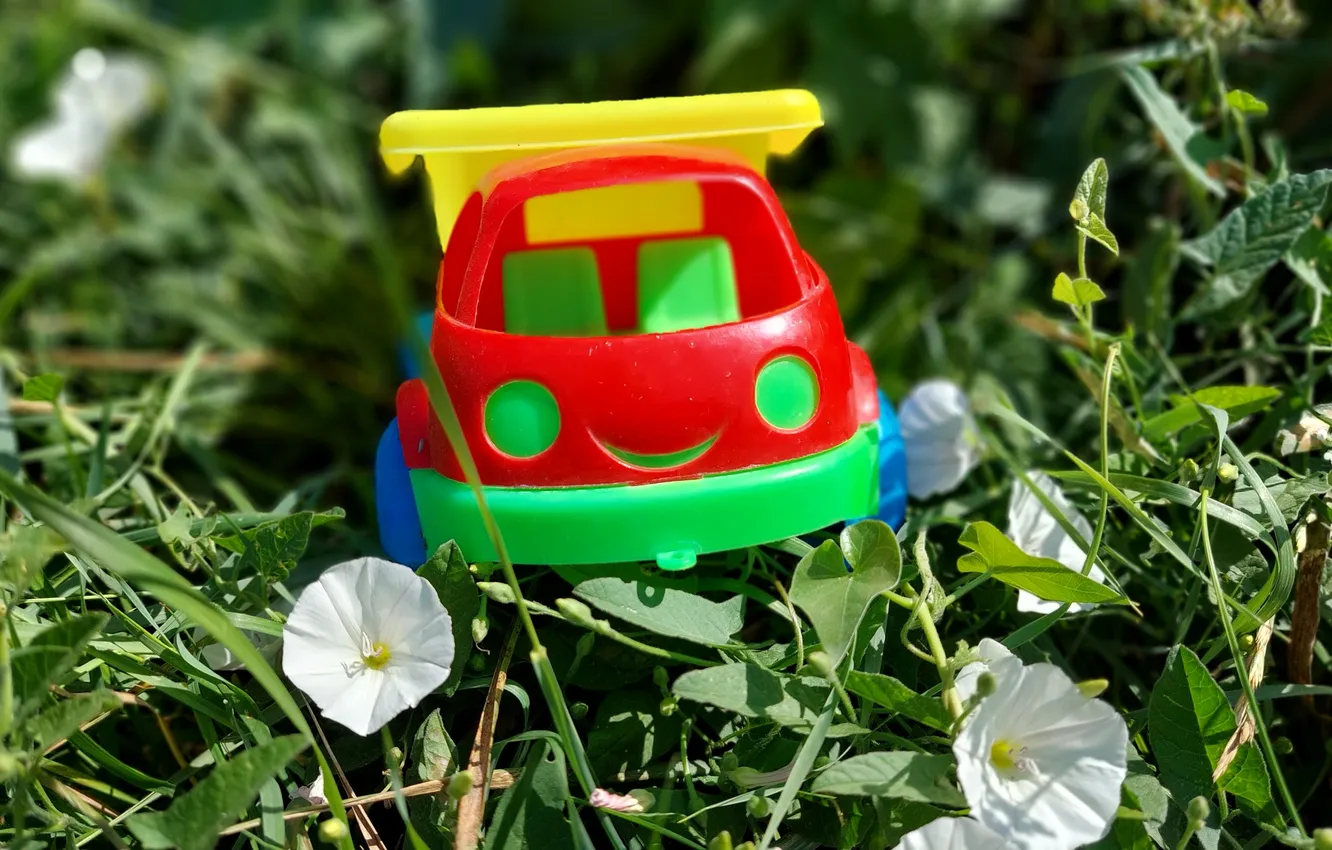 Photo wallpaper grass, flowers, toy, machine