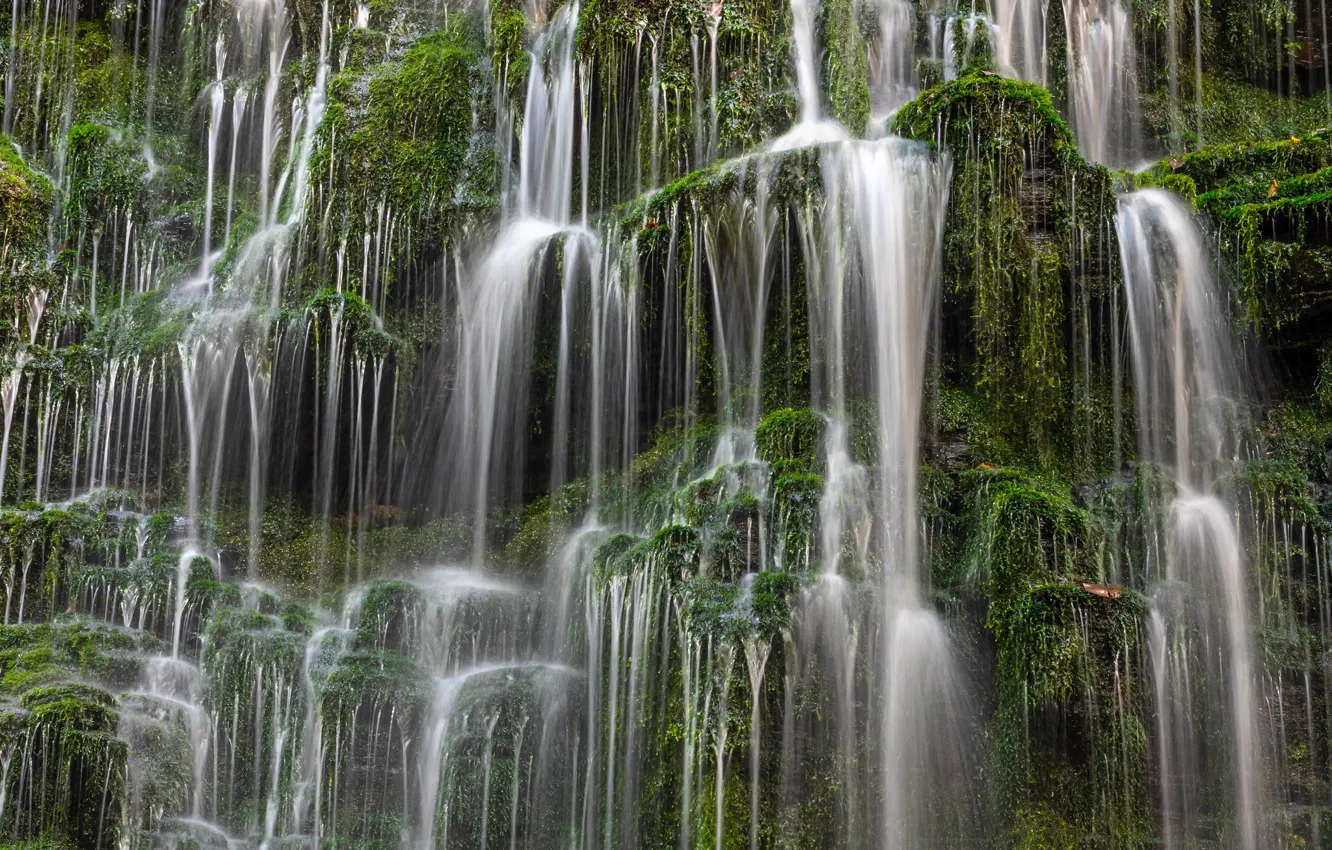 Photo wallpaper waterfall, moss, cascade, Tennessee, Tn, Machine Falls