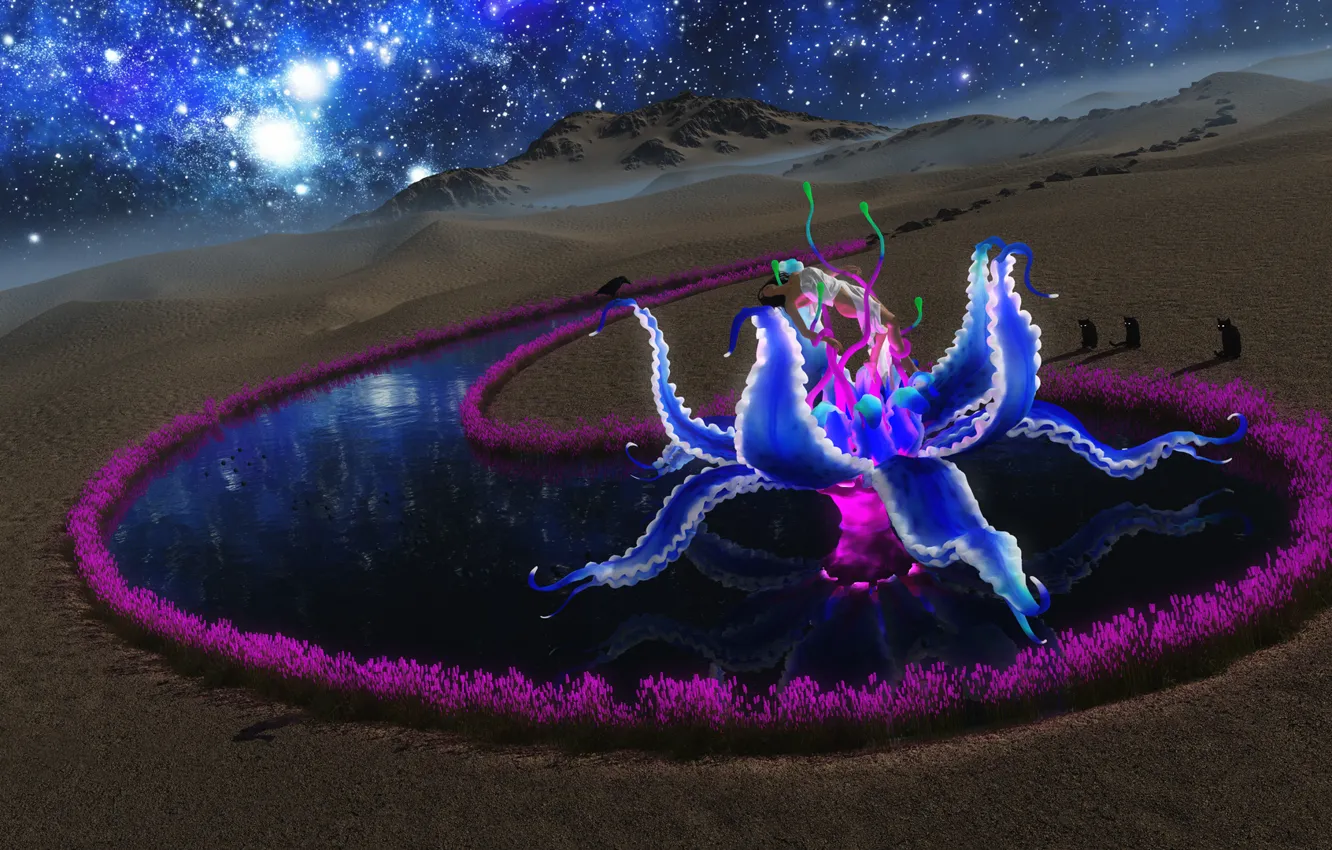 Photo wallpaper the sky, cat, water, girl, stars, flowers, bird, desert