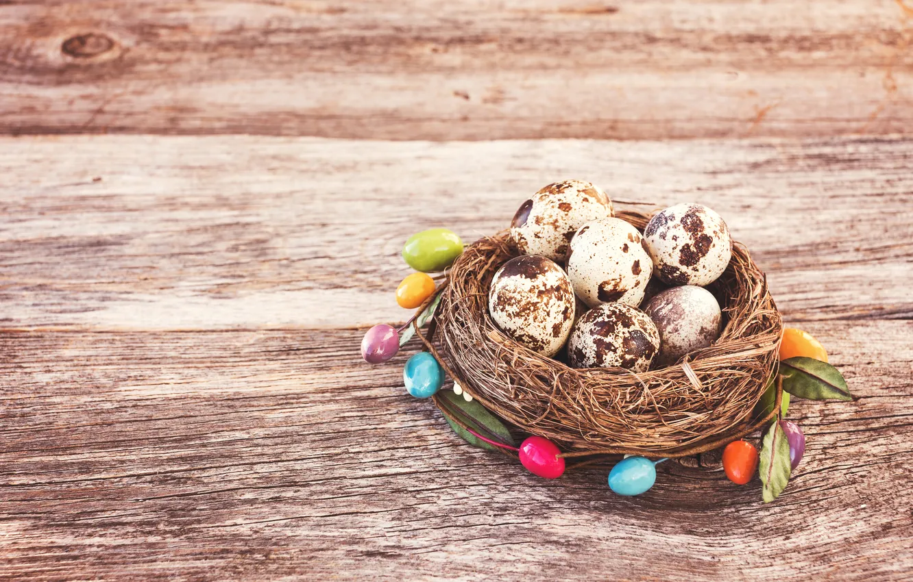 Photo wallpaper flowers, eggs, spring, colorful, Easter, flowers, spring, Easter