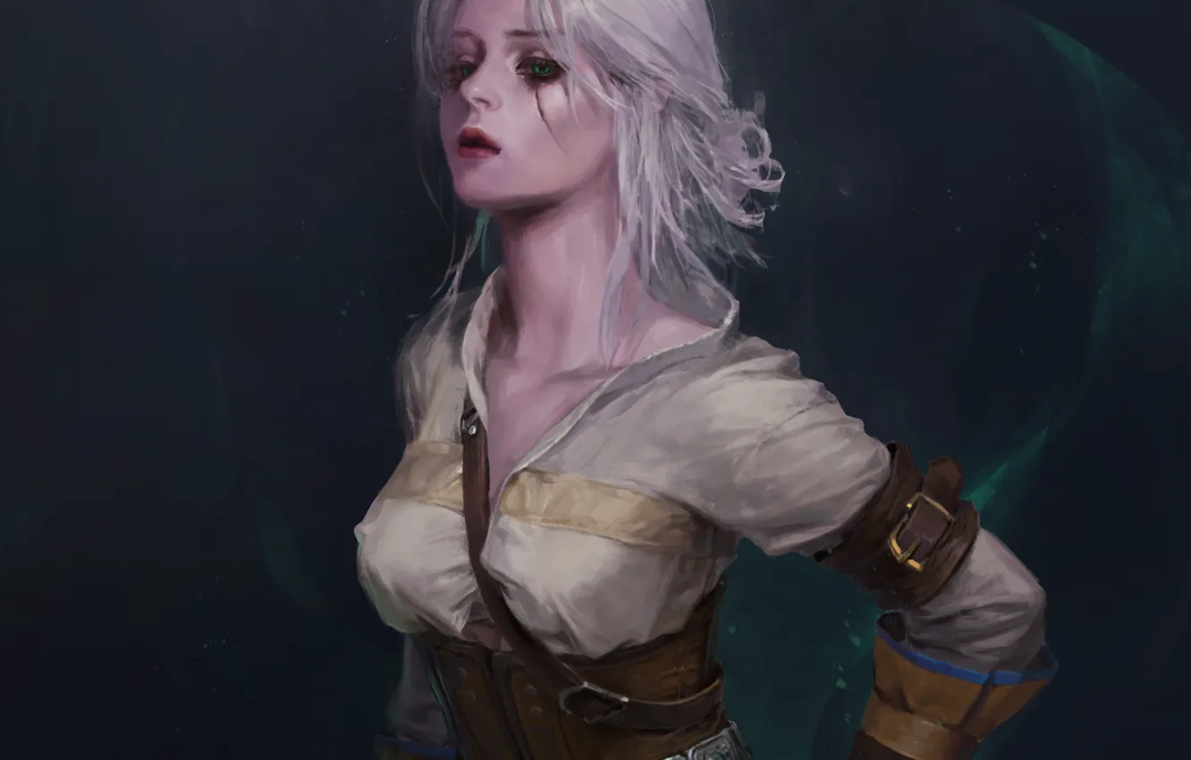 Photo wallpaper look, pose, art, Ciri, Witcher 3: Wild Hunt, Cirilla