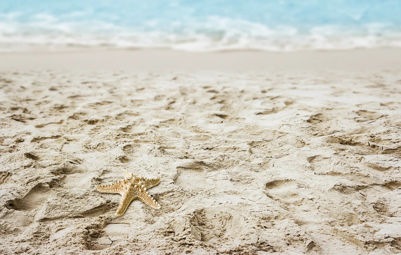 Photo wallpaper sand, sea, beach, star, summer, beach, sea, sea