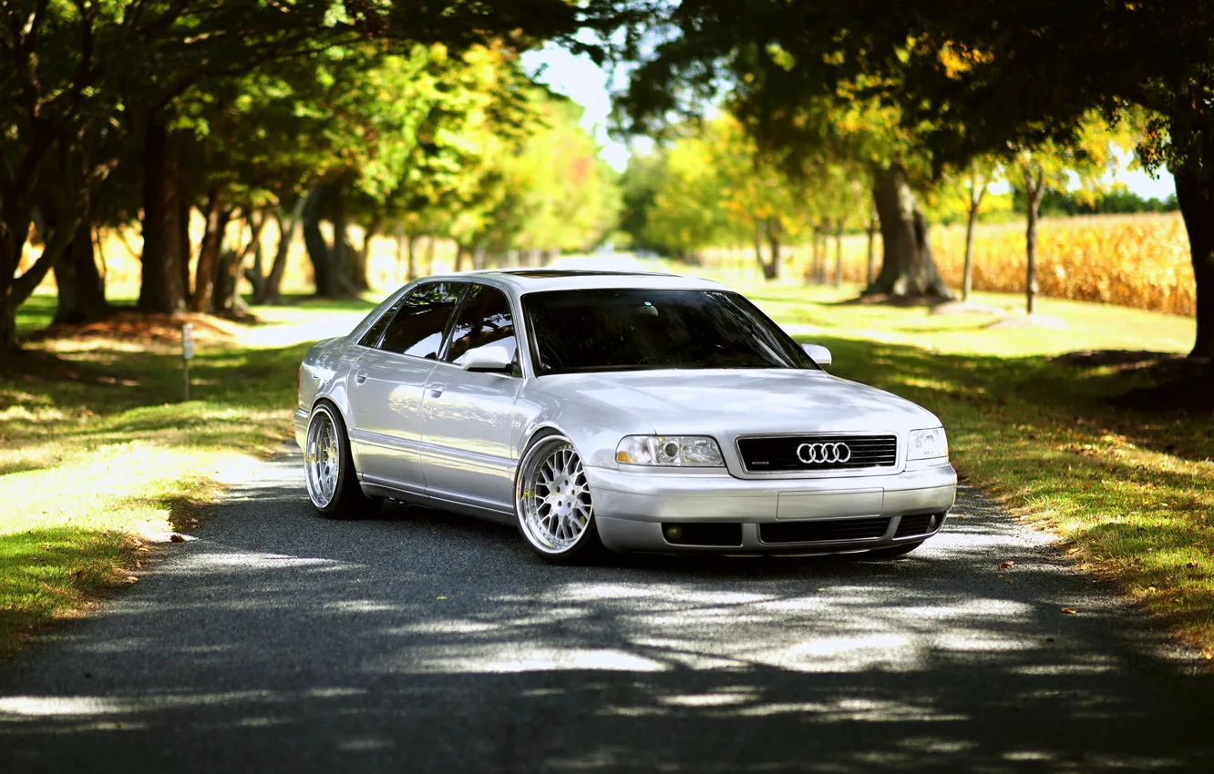 Photo wallpaper Audi, Audi, white, frontside