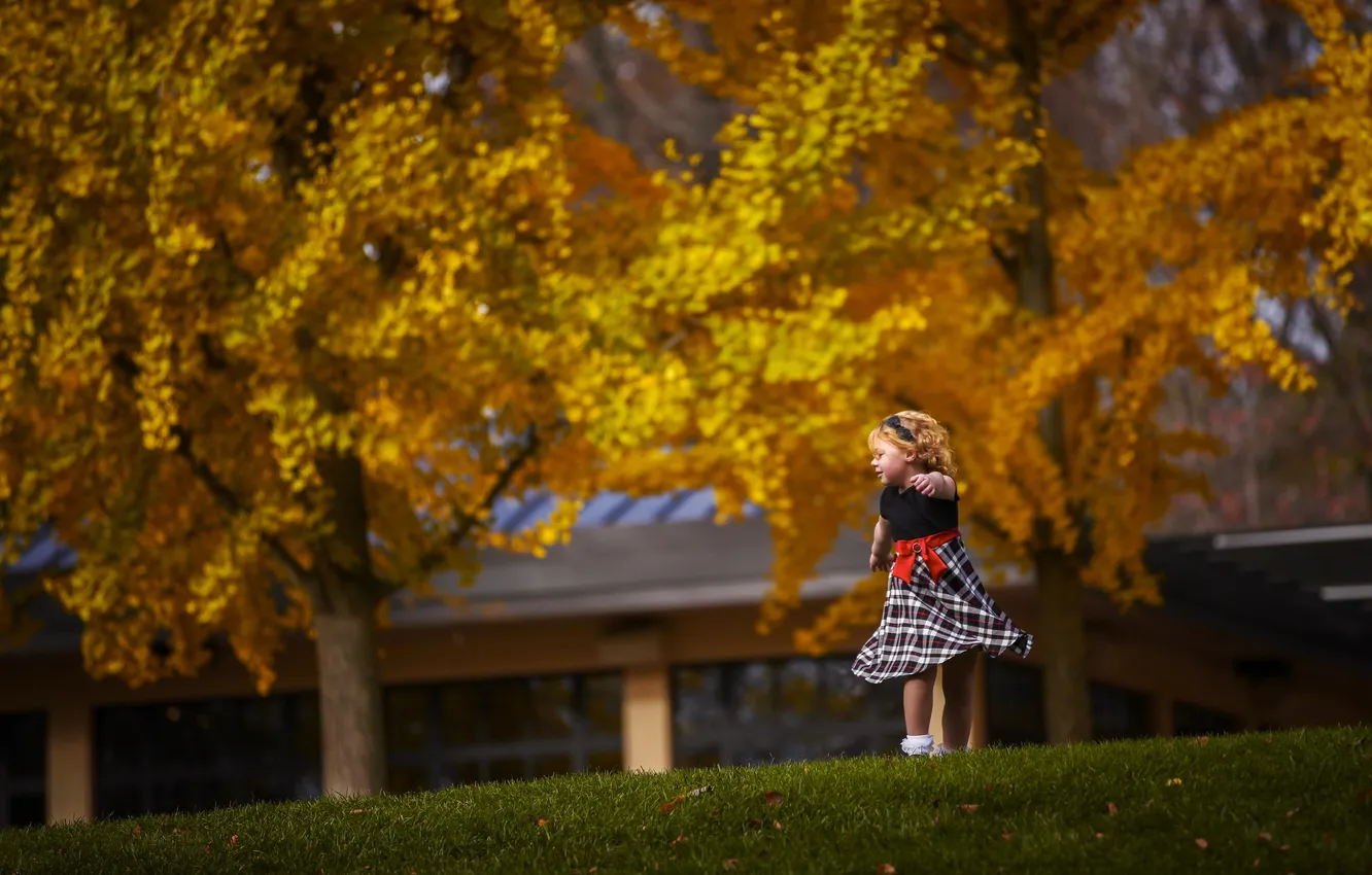 Photo wallpaper field, summer, mood, girl