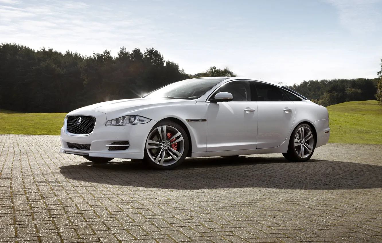 Photo wallpaper forest, white, the sky, Jaguar, Jaguar, sedan, the front, Ixga