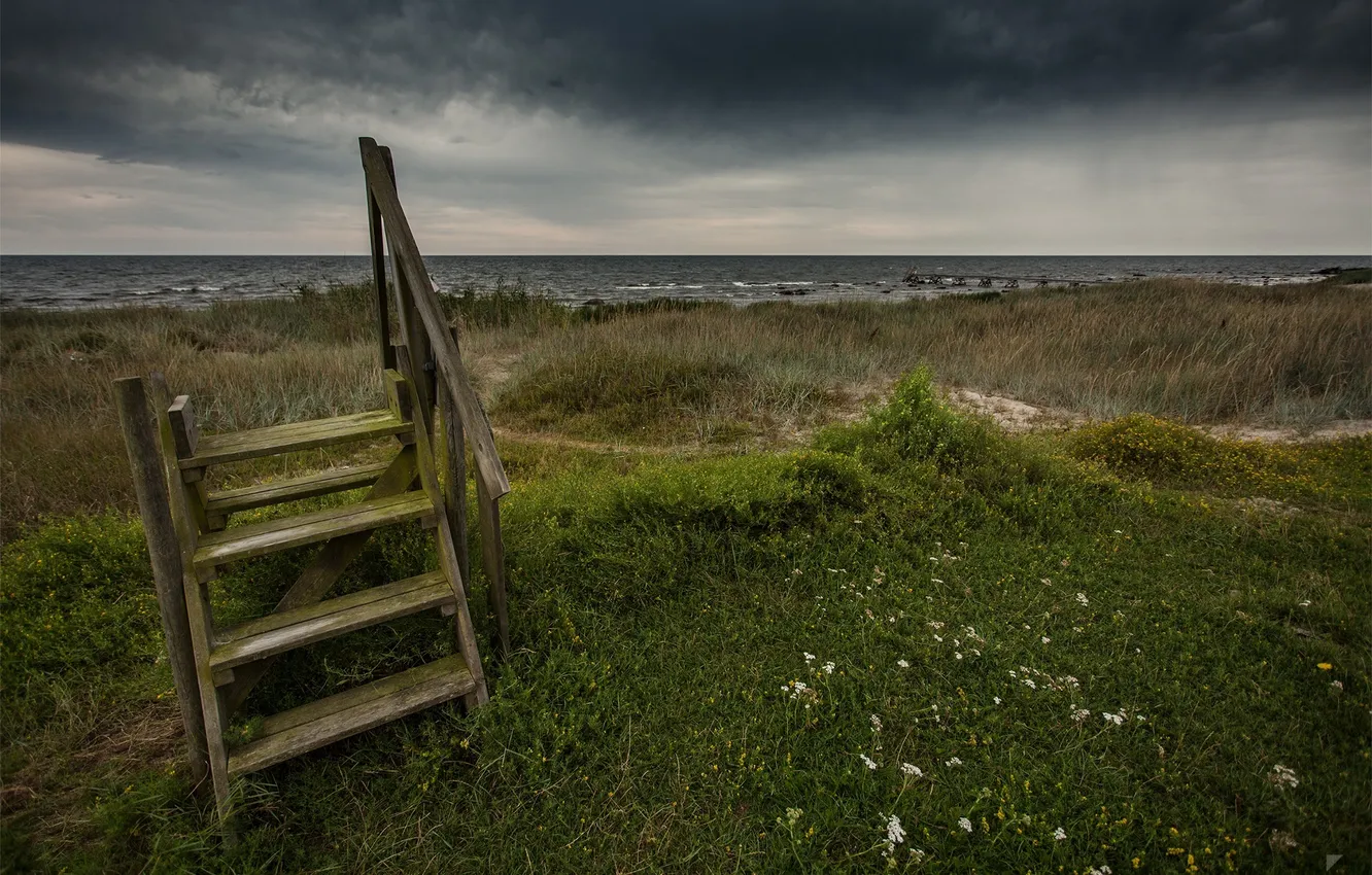 Photo wallpaper grass, meadow, porch, by Robin de Blanche, Tomorrow