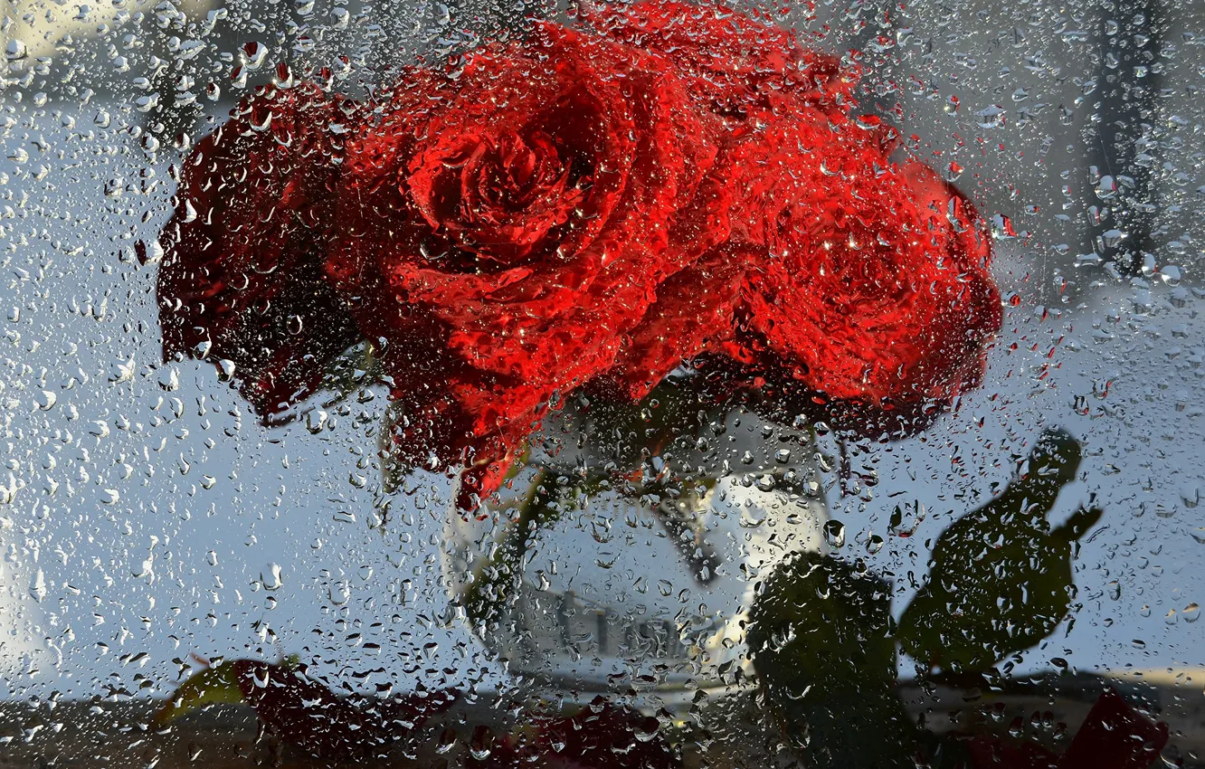 Photo wallpaper drops, macro, flowers, fantasy, rain, roses, beauty, bouquet
