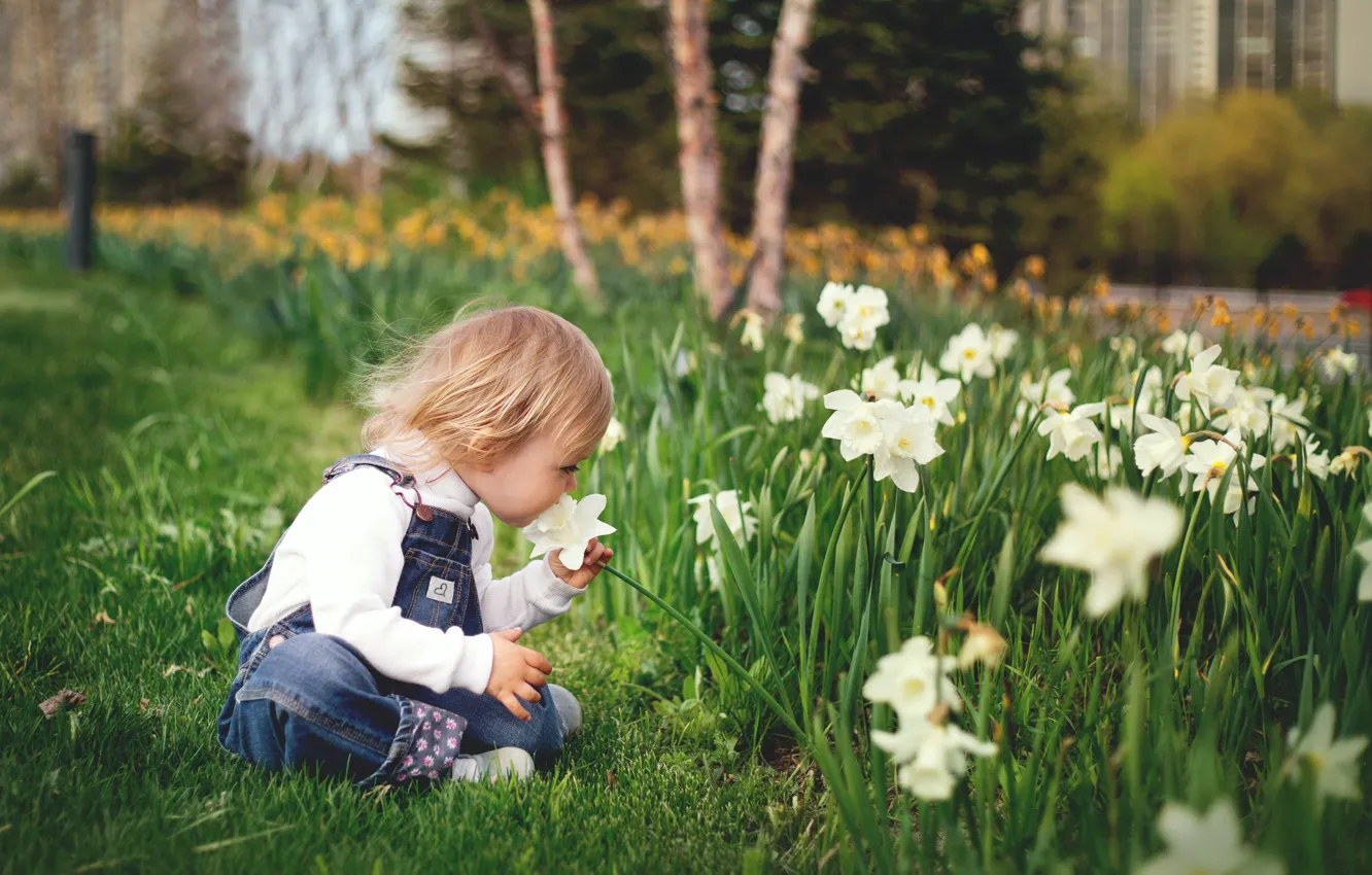 Photo wallpaper flowers, child, spring, girl, flowerbed, the smell, daffodils