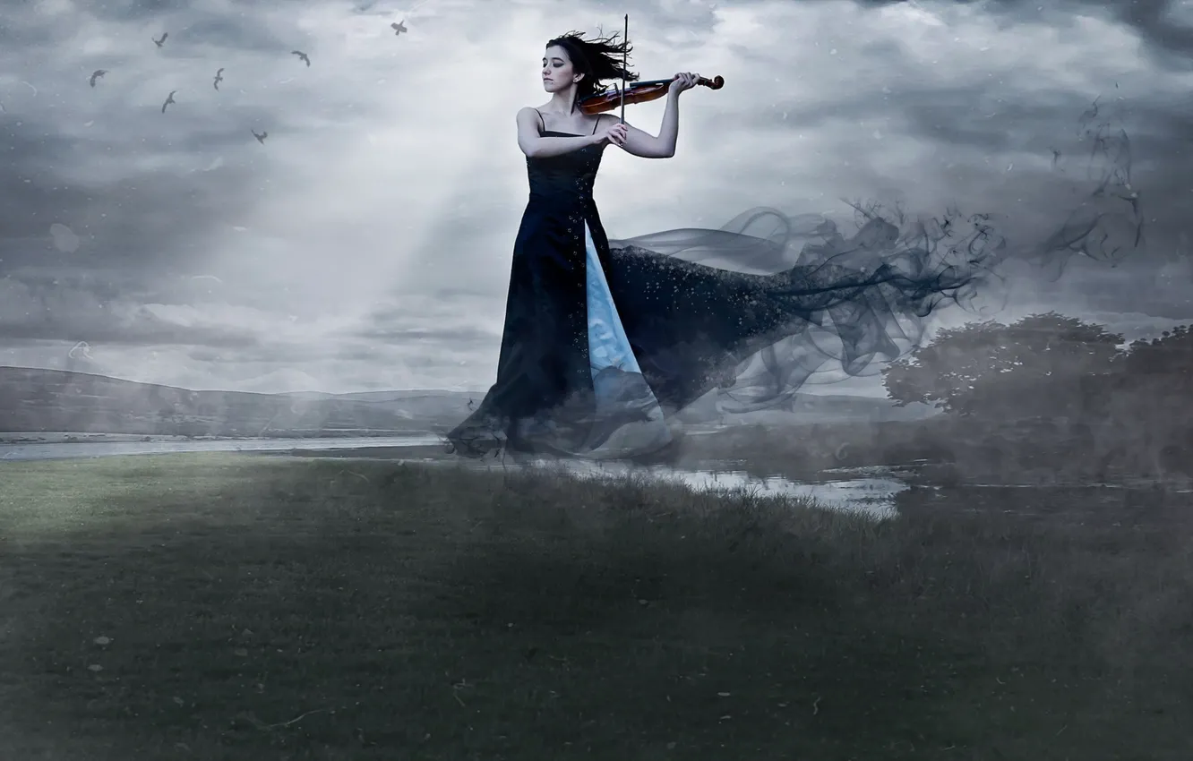 Photo wallpaper girl, music, violin