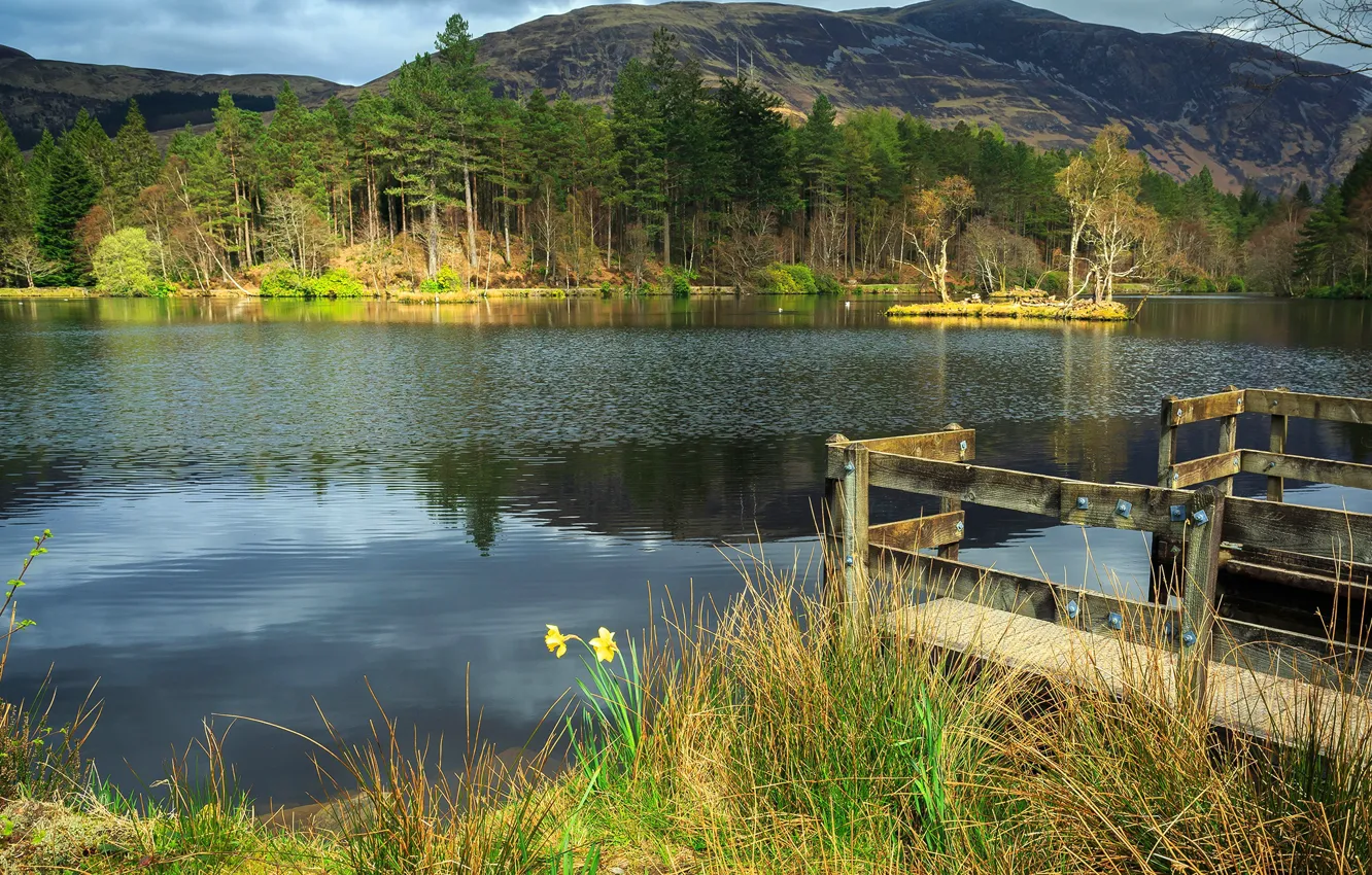 Photo wallpaper forest, grass, trees, mountains, lake, pond, Scotland, Glencoe-Lohan