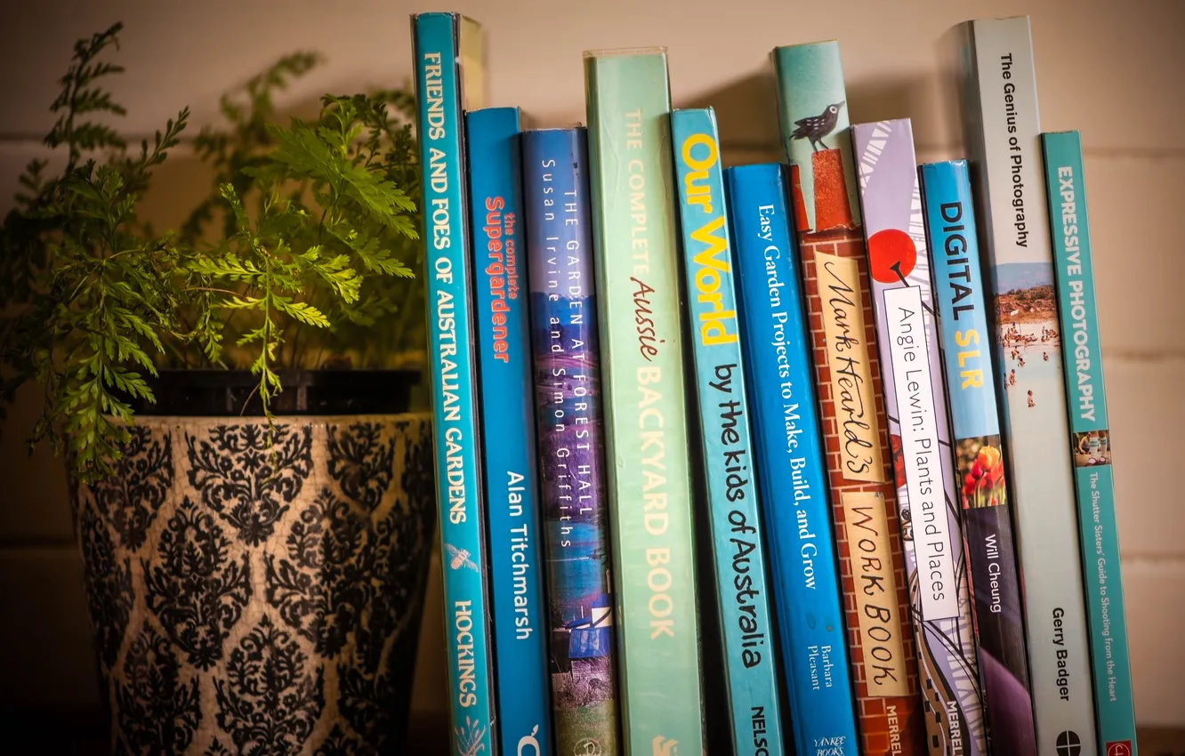 Photo wallpaper plant, pot, book, fern, shelves