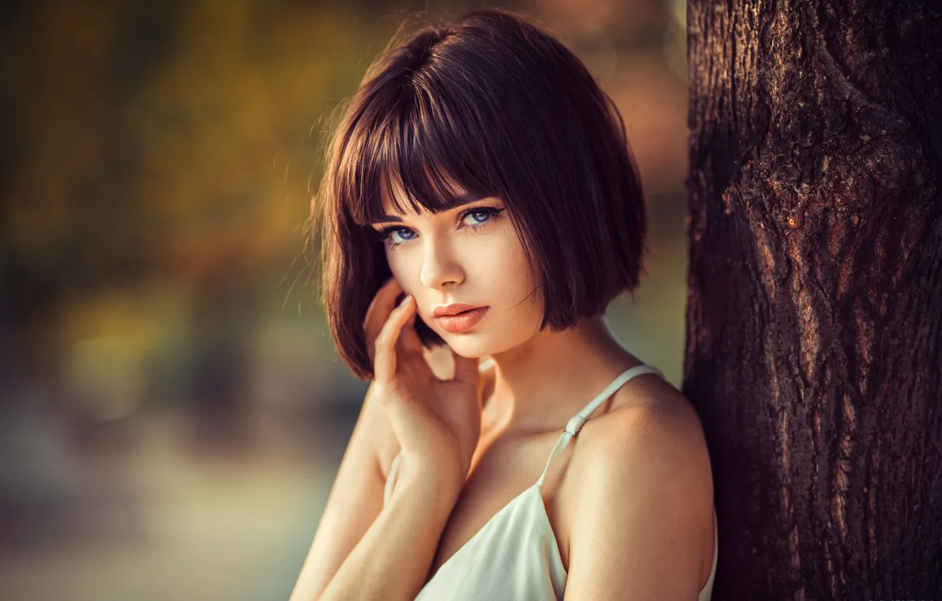 Photo wallpaper look, pose, tree, portrait, makeup, hairstyle, brown hair, beauty