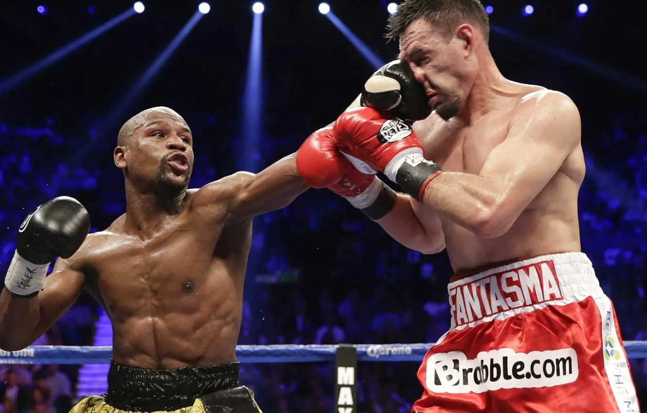 Photo wallpaper fight, blow, gloves, the ring